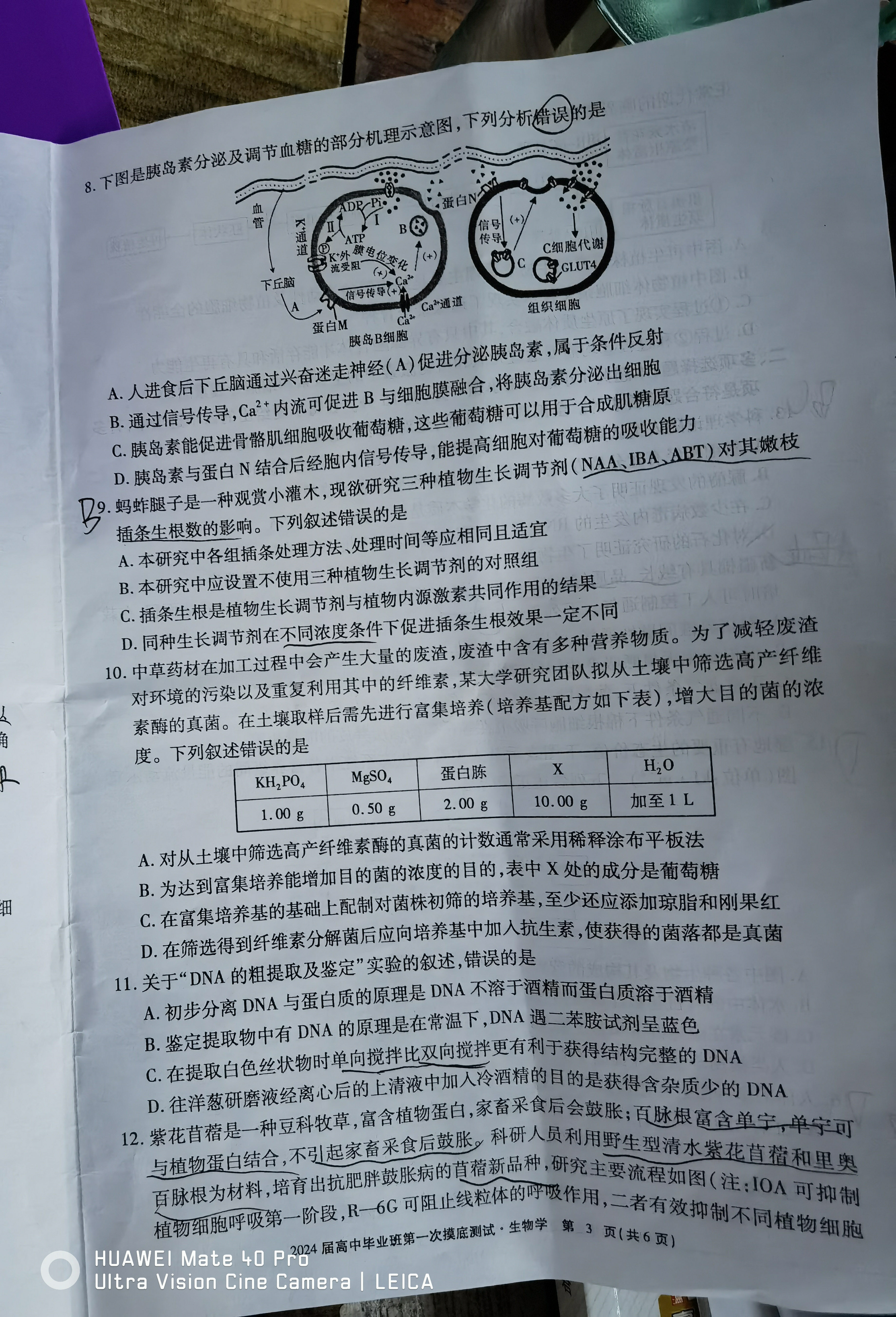 河北省2023年普通高中学业水平选择性考试(高考样卷) 23·(新高考)高考样卷·生物学·HEB 生物学样卷(一)答案