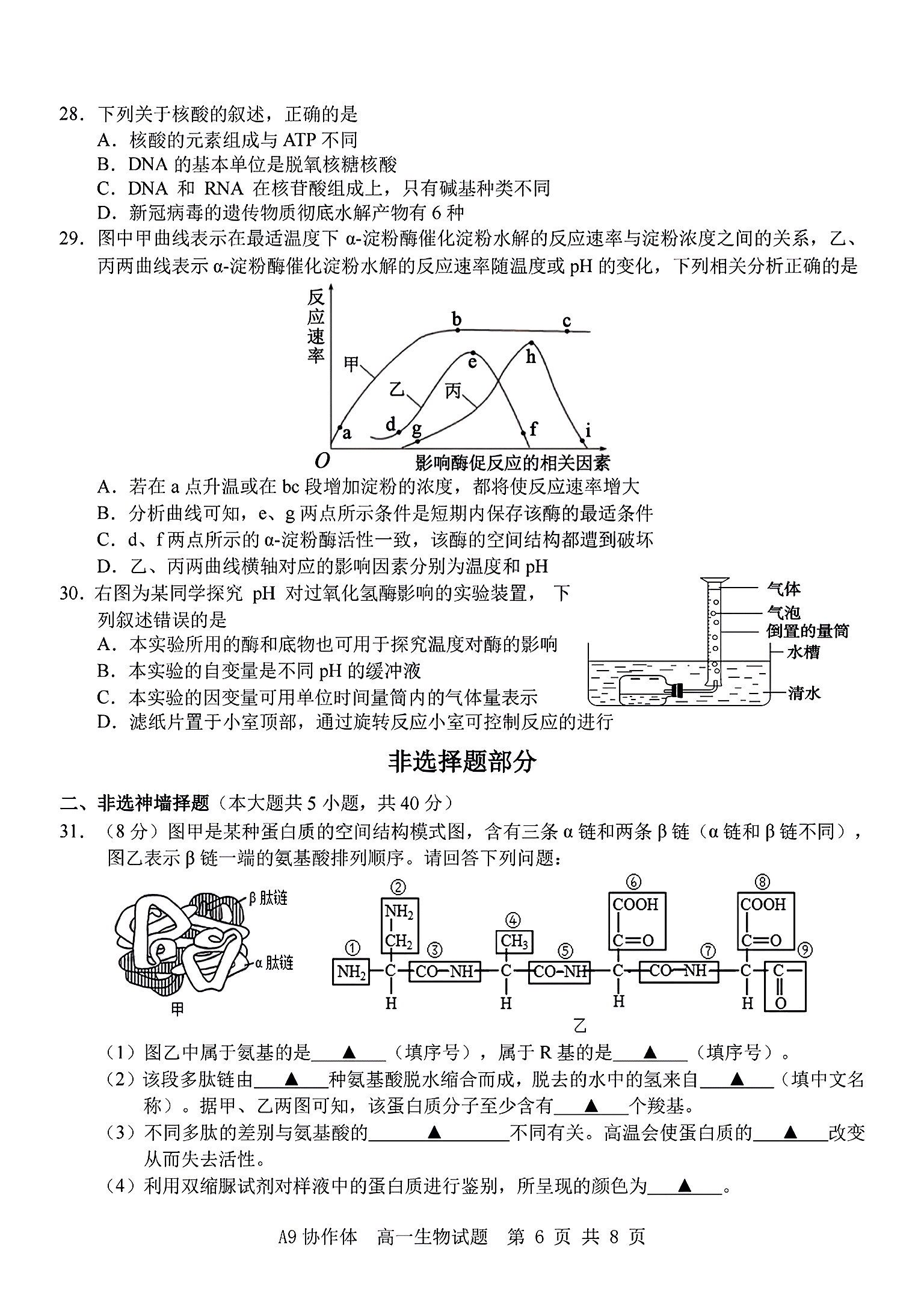 [金考汇教育]贵州省名校协作体2024-2025学年高三联考(一)1生物答案
