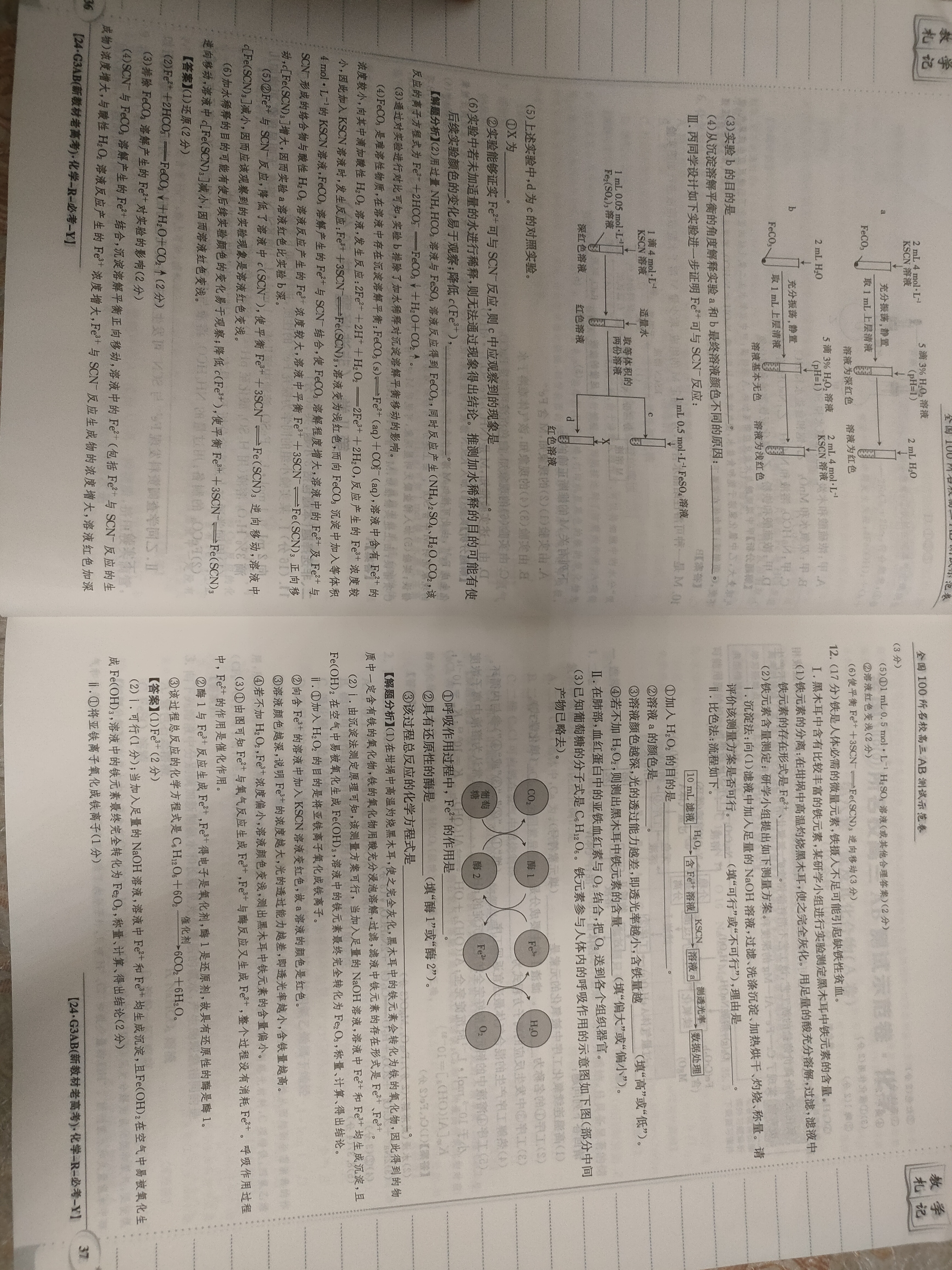 42024届滚动联考06化学试卷答案