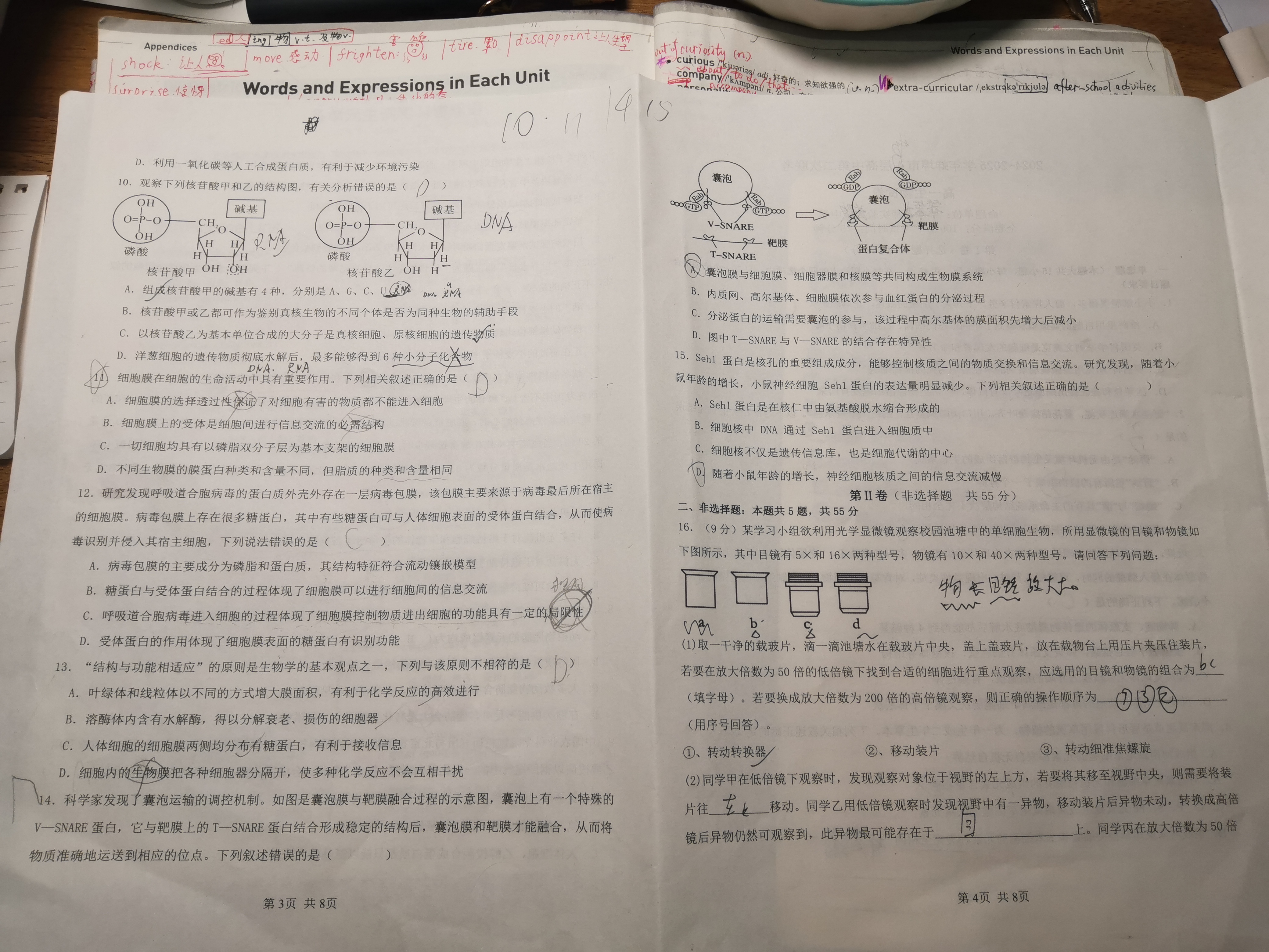 国考1号6(第5套)高中2025届毕业班基础知识滚动测试(五)5生物答案