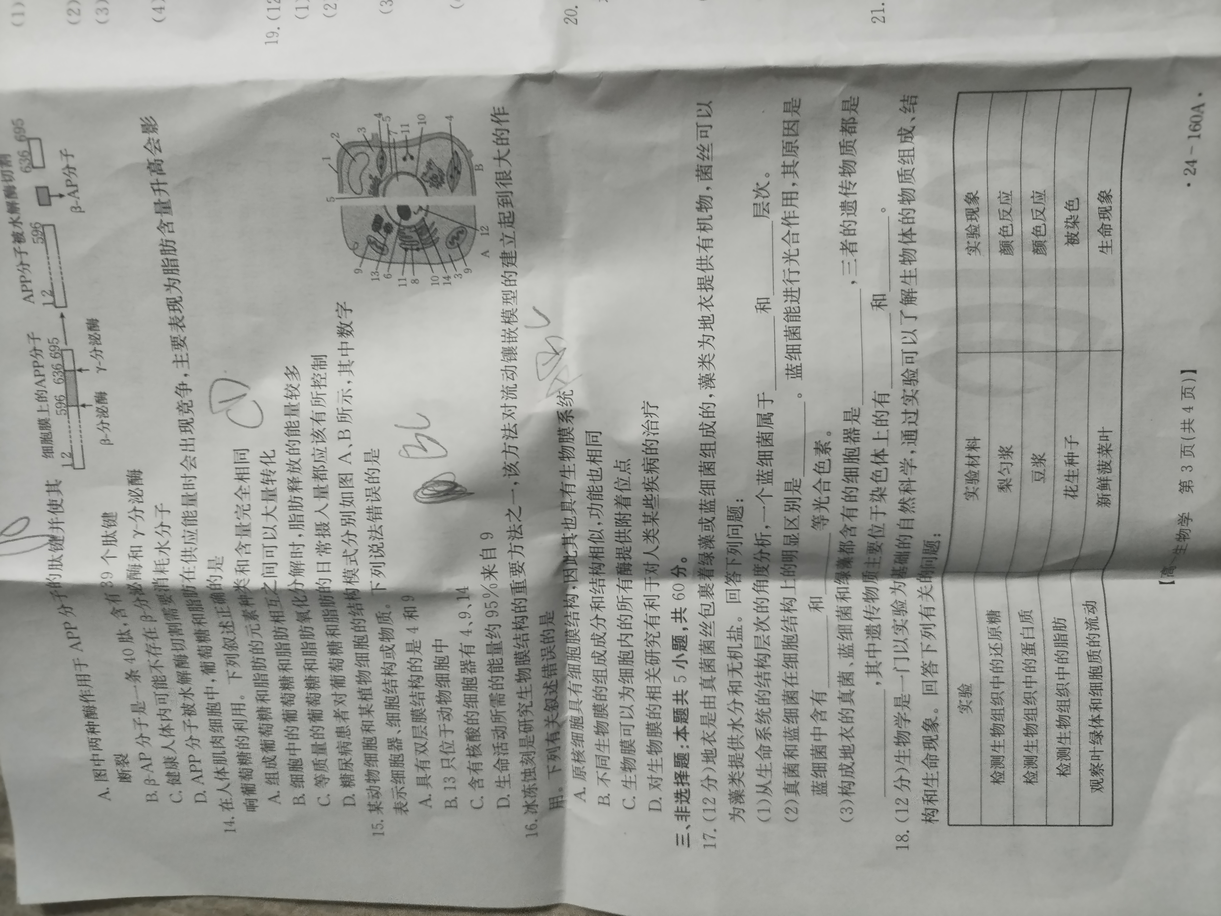 2024届全国100所名校单元测试示范卷·生物[24·G3DY(新高考)·生物-LKB-必考-CQ]八试题