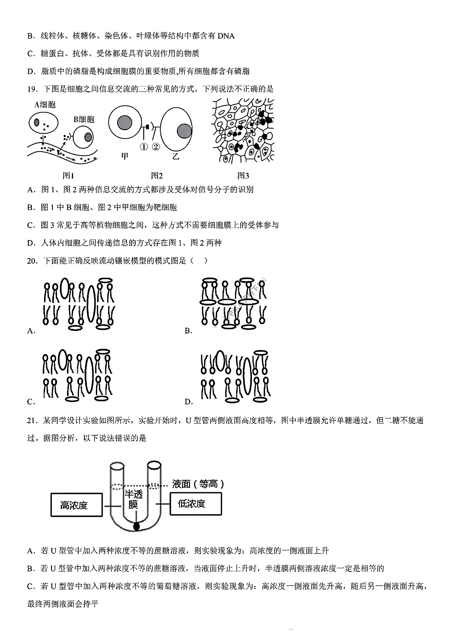 ［陕西大联考］陕西省2024届高三10月联考（10.27）生物试卷答案