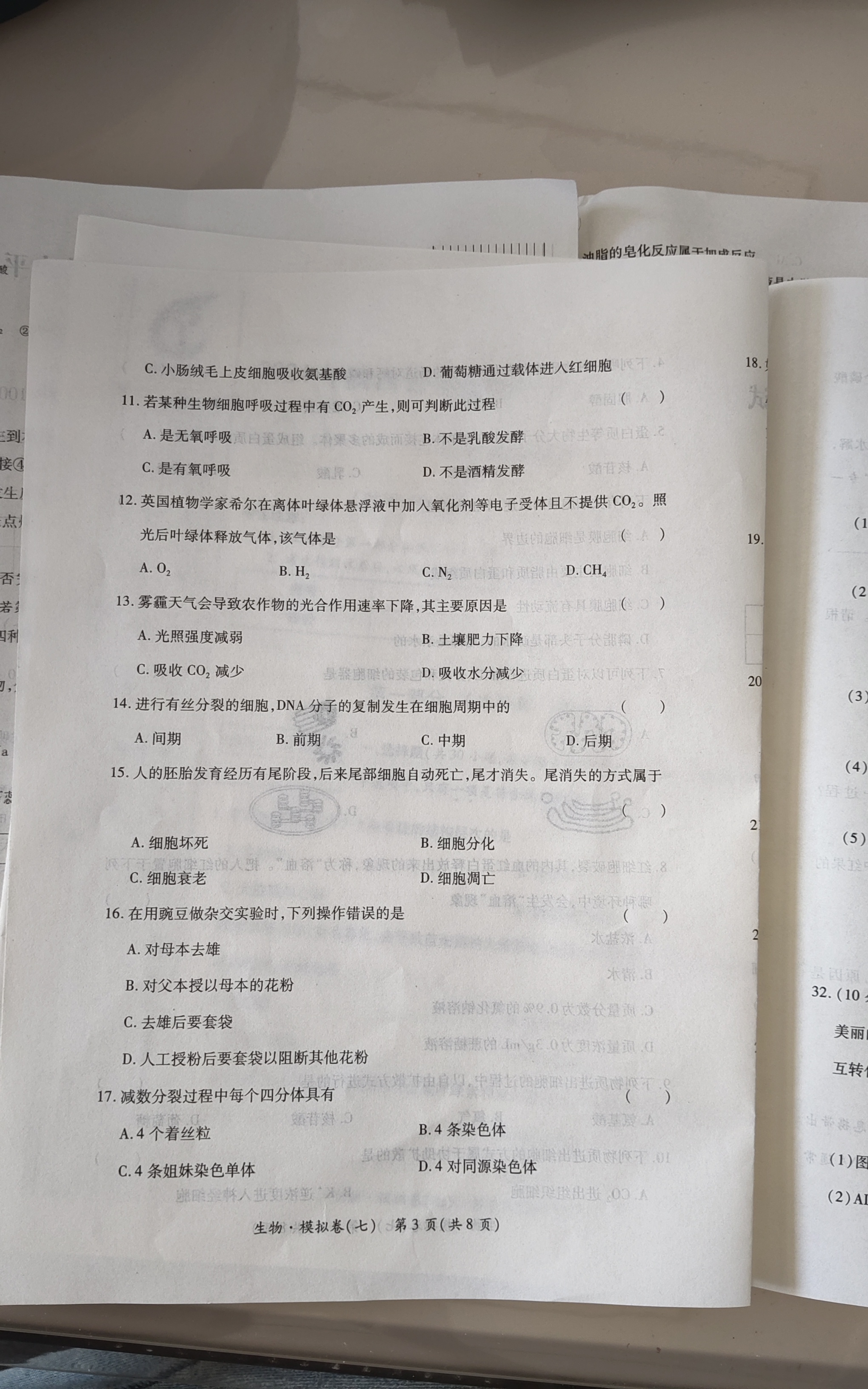 炎德英才大联考 雅礼中学2024届模拟试卷(一)1答案(生物)