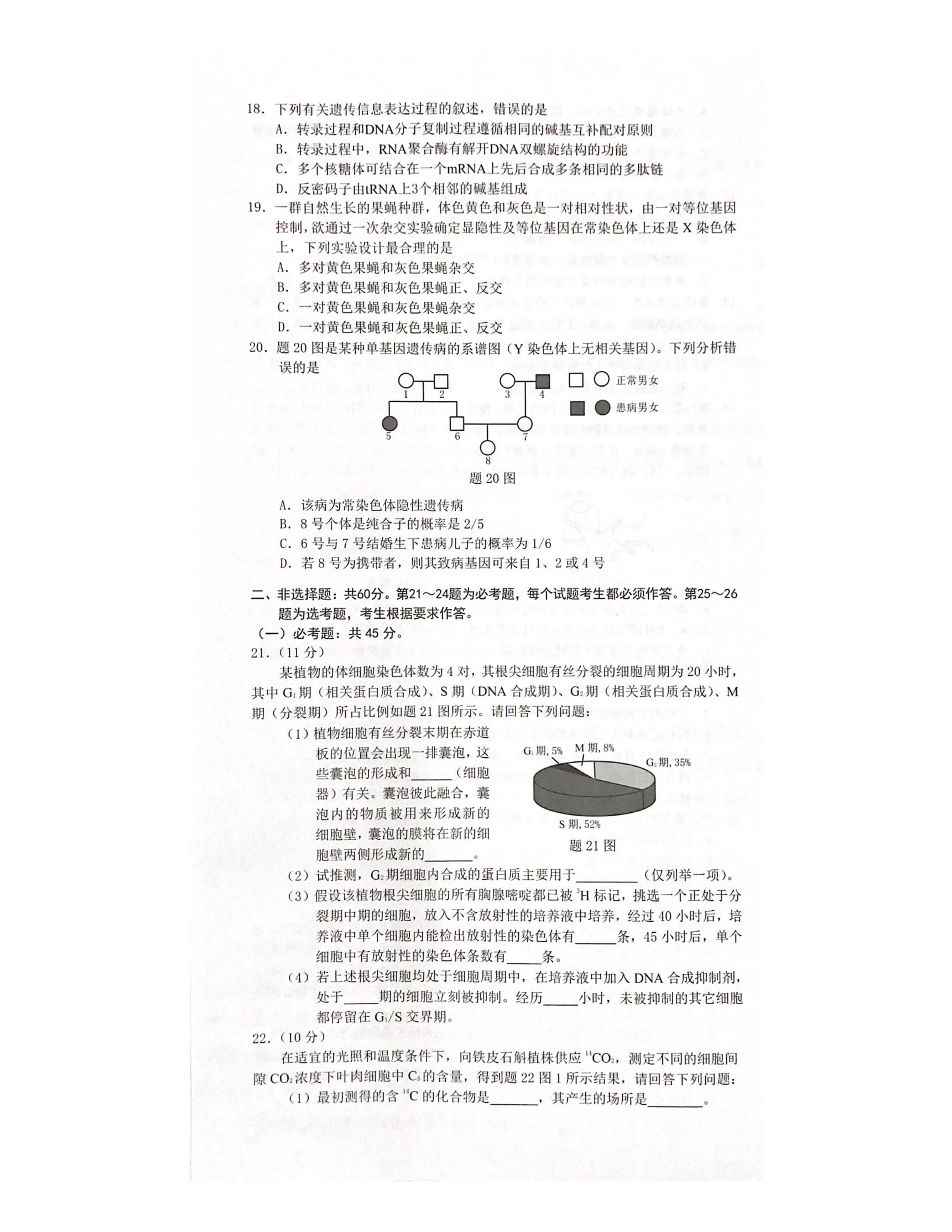 2024届名校大联盟·高三月考卷(二)生物答案