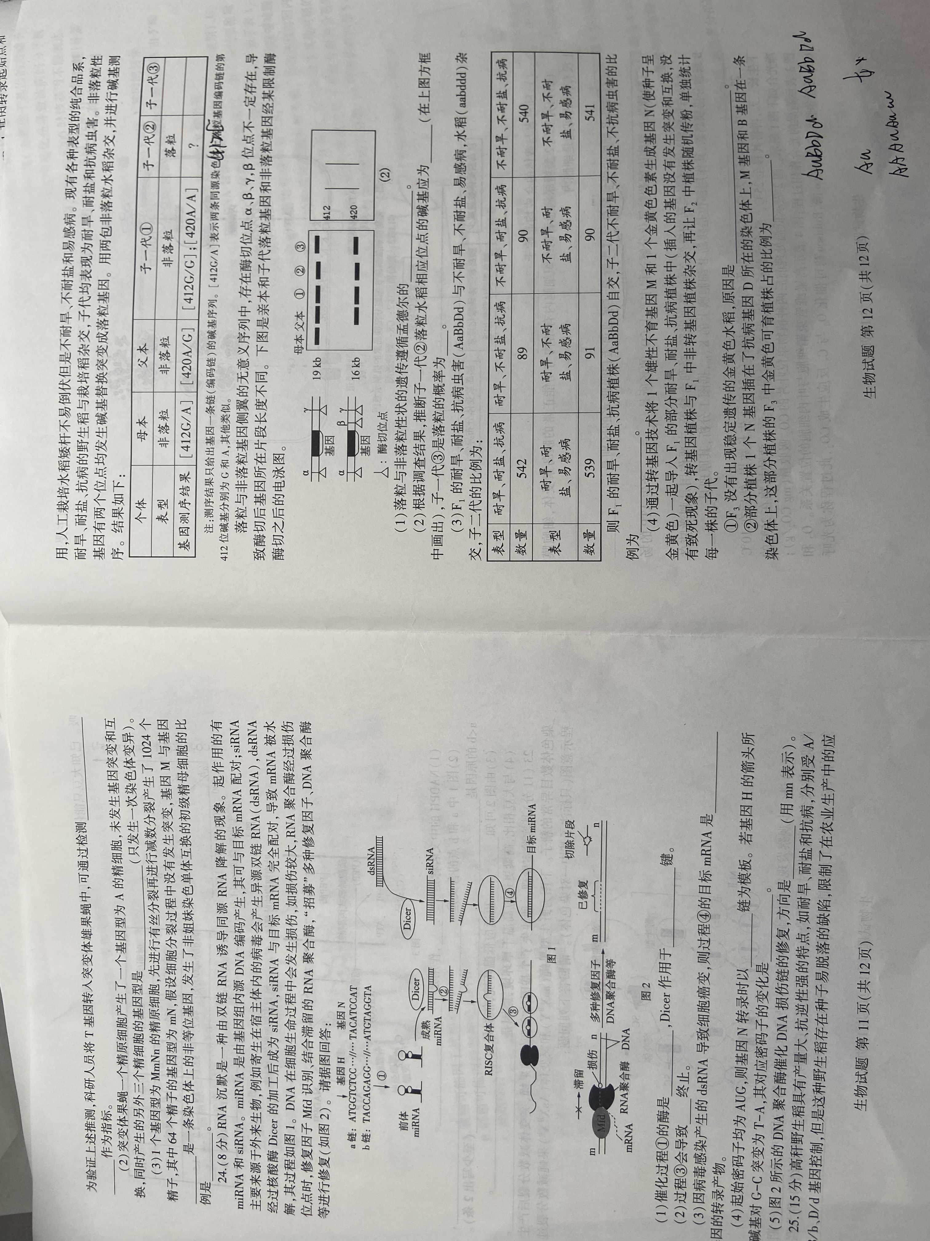 国考1号6(第5套)高中2025届毕业班基础知识滚动测试(五)5生物试题