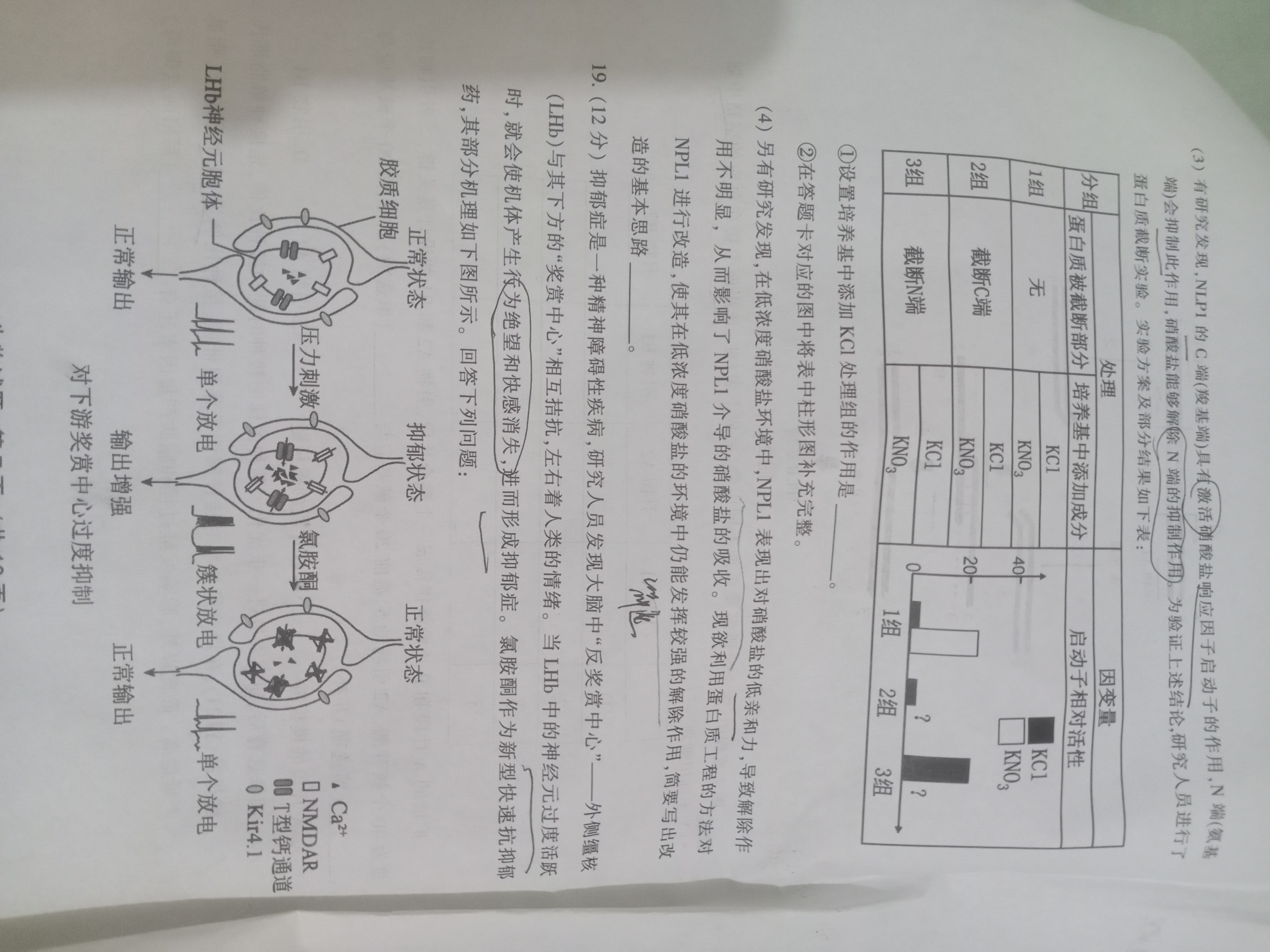 安徽省2023-2024学年度八年级上学期期中综合评估【2LR】生物试卷答案