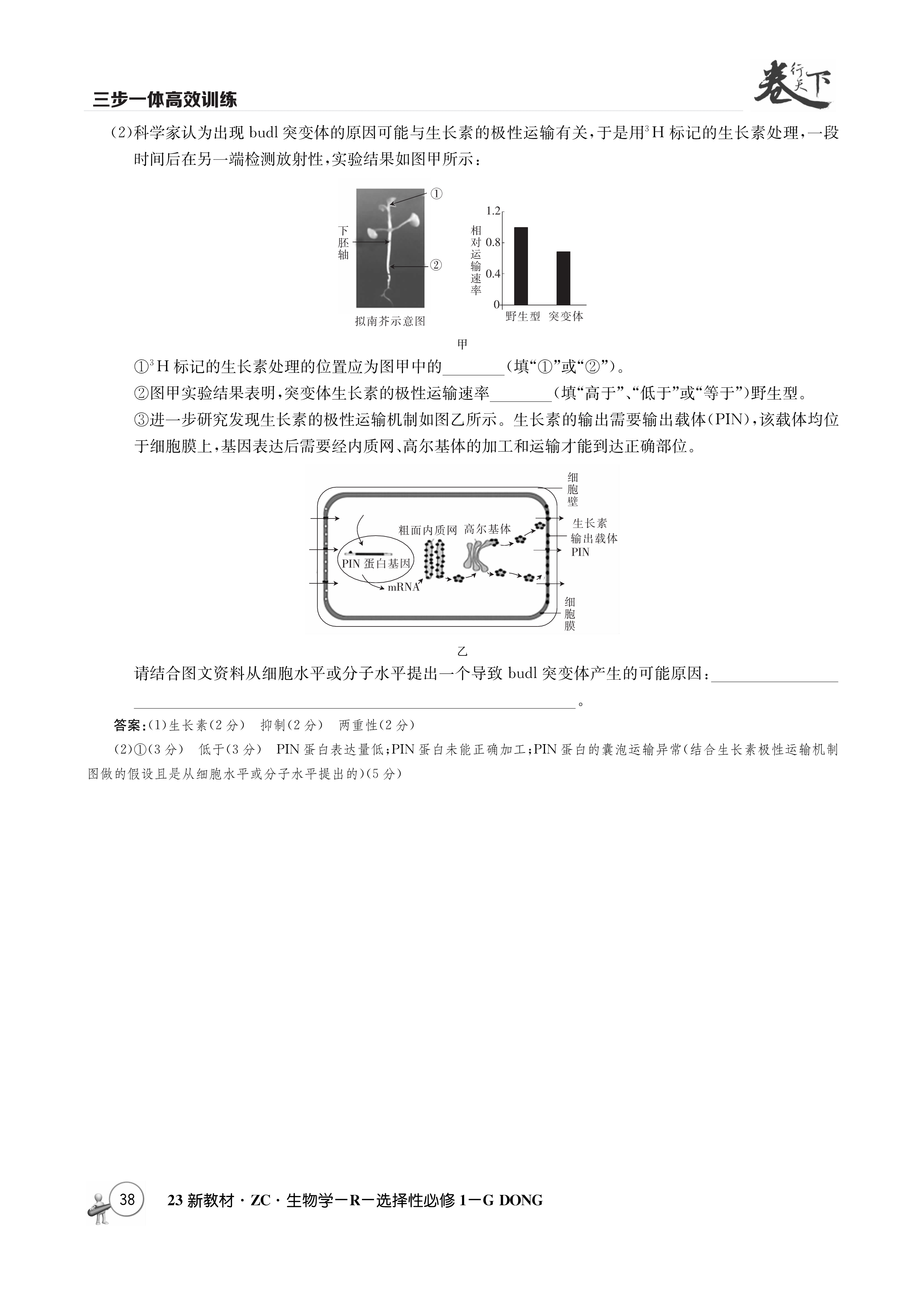 炎德英才大联考 长沙市一中2024届高三月考试卷(二)2生物试题