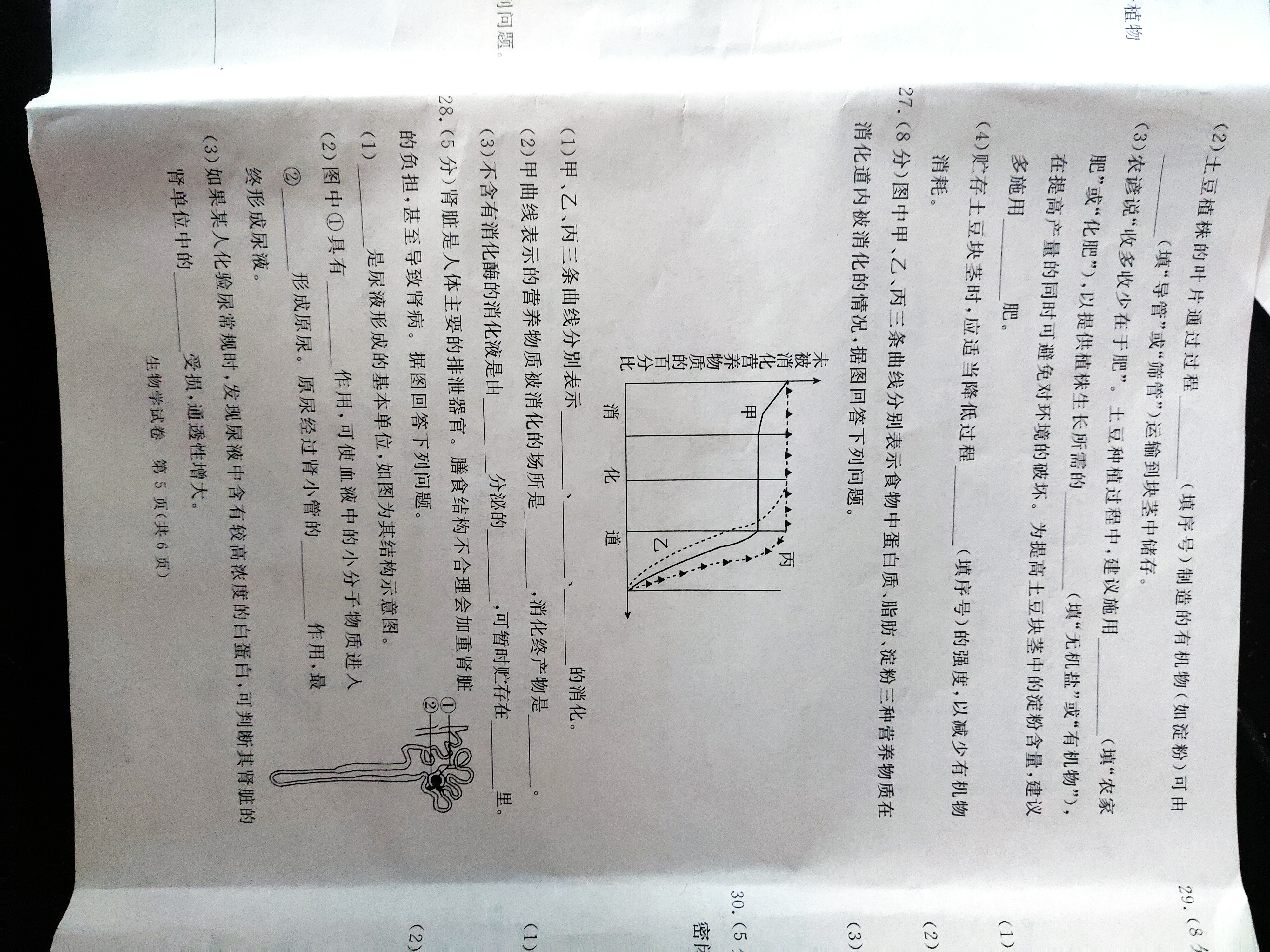 湖南省长沙市一中2024届高考适应性演练(一)1生物试题