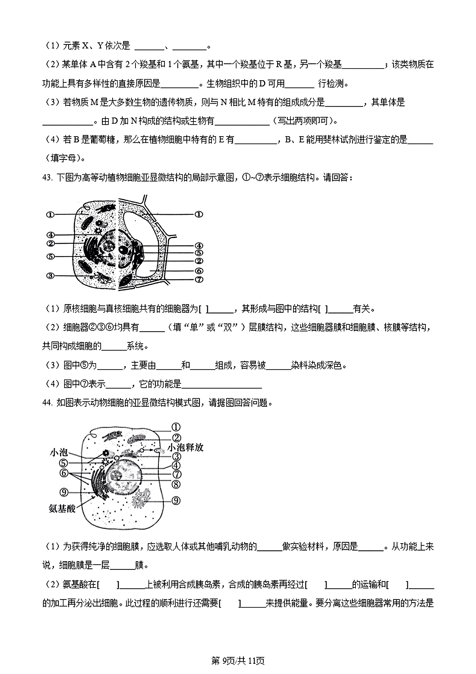 ［绵阳一诊］绵阳市高中2021级第一次诊断性考试生物试卷答案