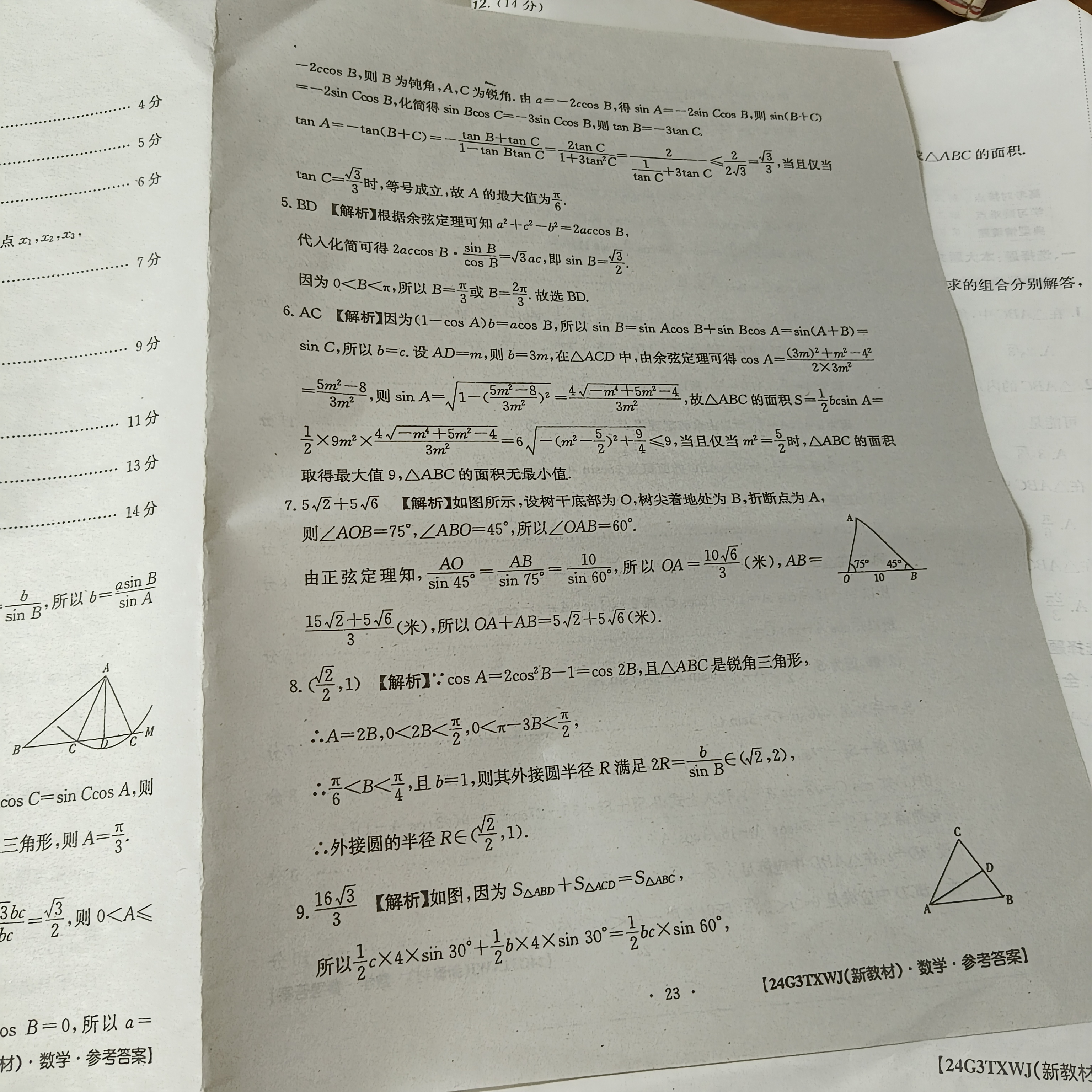 河南省信阳市2025届八年级质量调研（期中考试）数学f试卷答案
