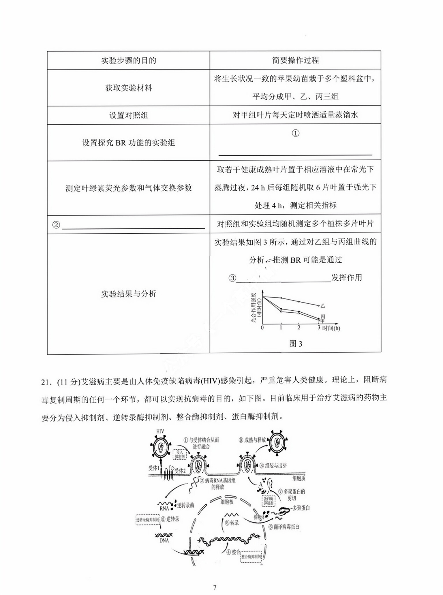 安徽省2023-2024学年度八年级上学期期中综合评估【2LR】生物试卷答案