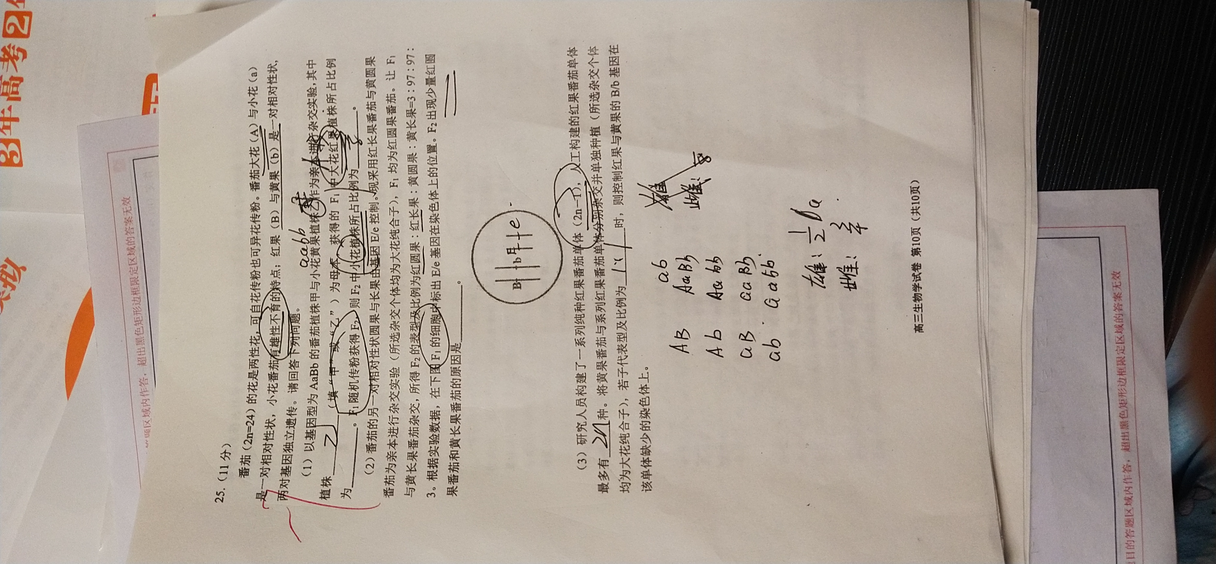 衡水金卷先享题(月考卷)2023-2024学年度上学期高三年级期末考试生物(JJ)答案