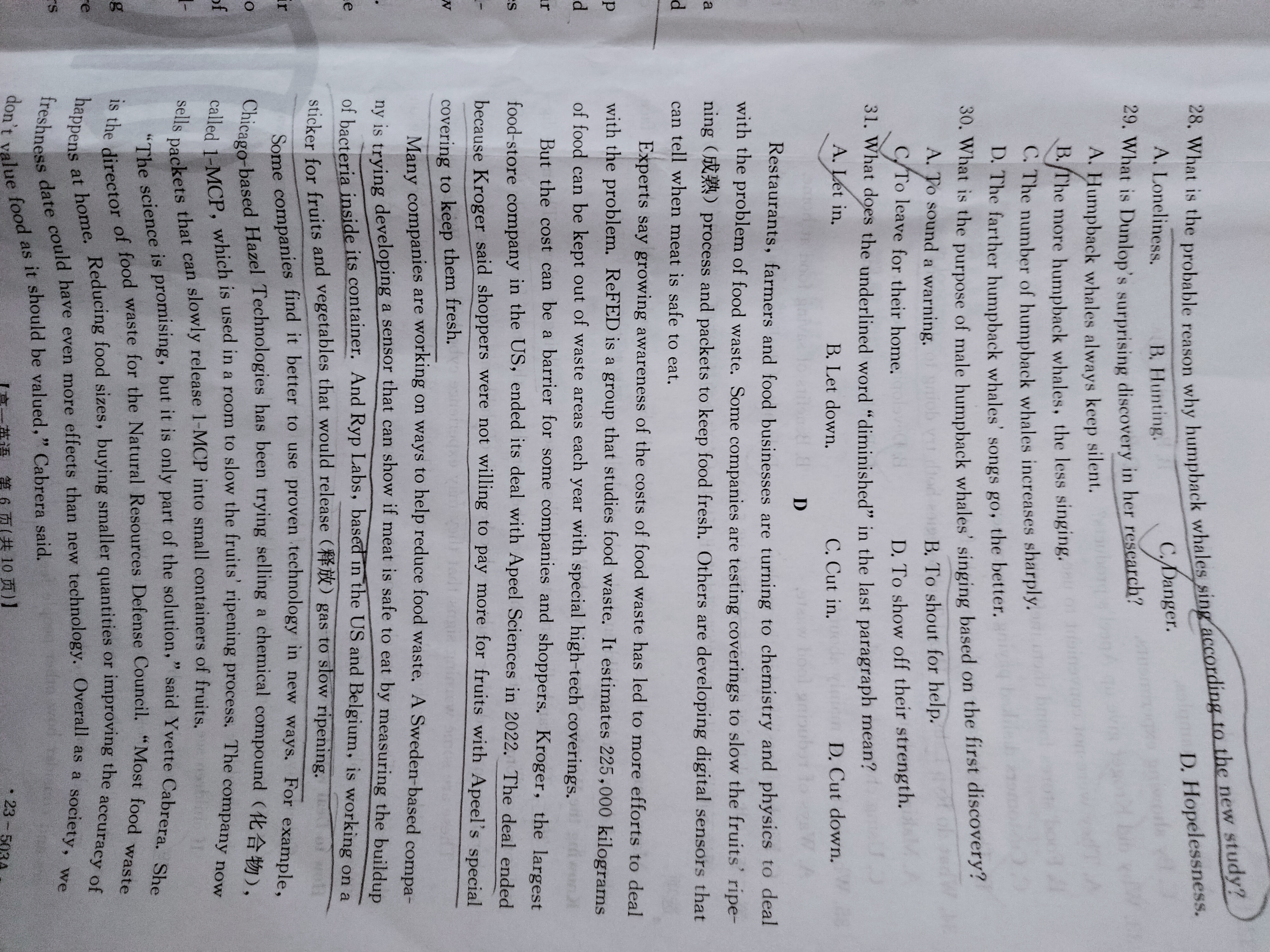 炎德英才大联考长沙市一中2024届高三月考试卷二英语完形填空试题