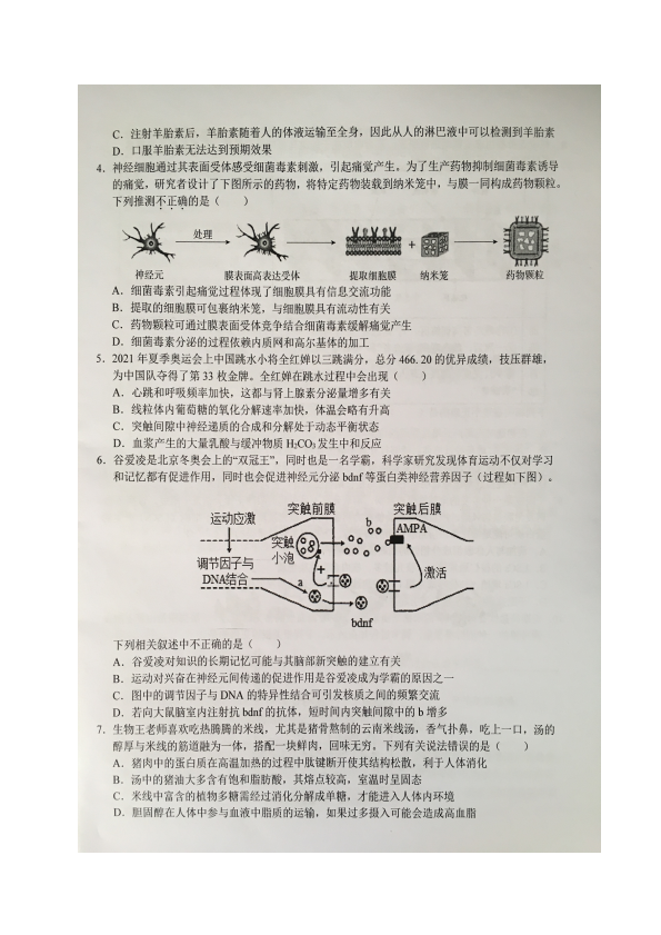 2024年衡水金卷先享题 分科综合卷[新教材B]生物(一)1试题