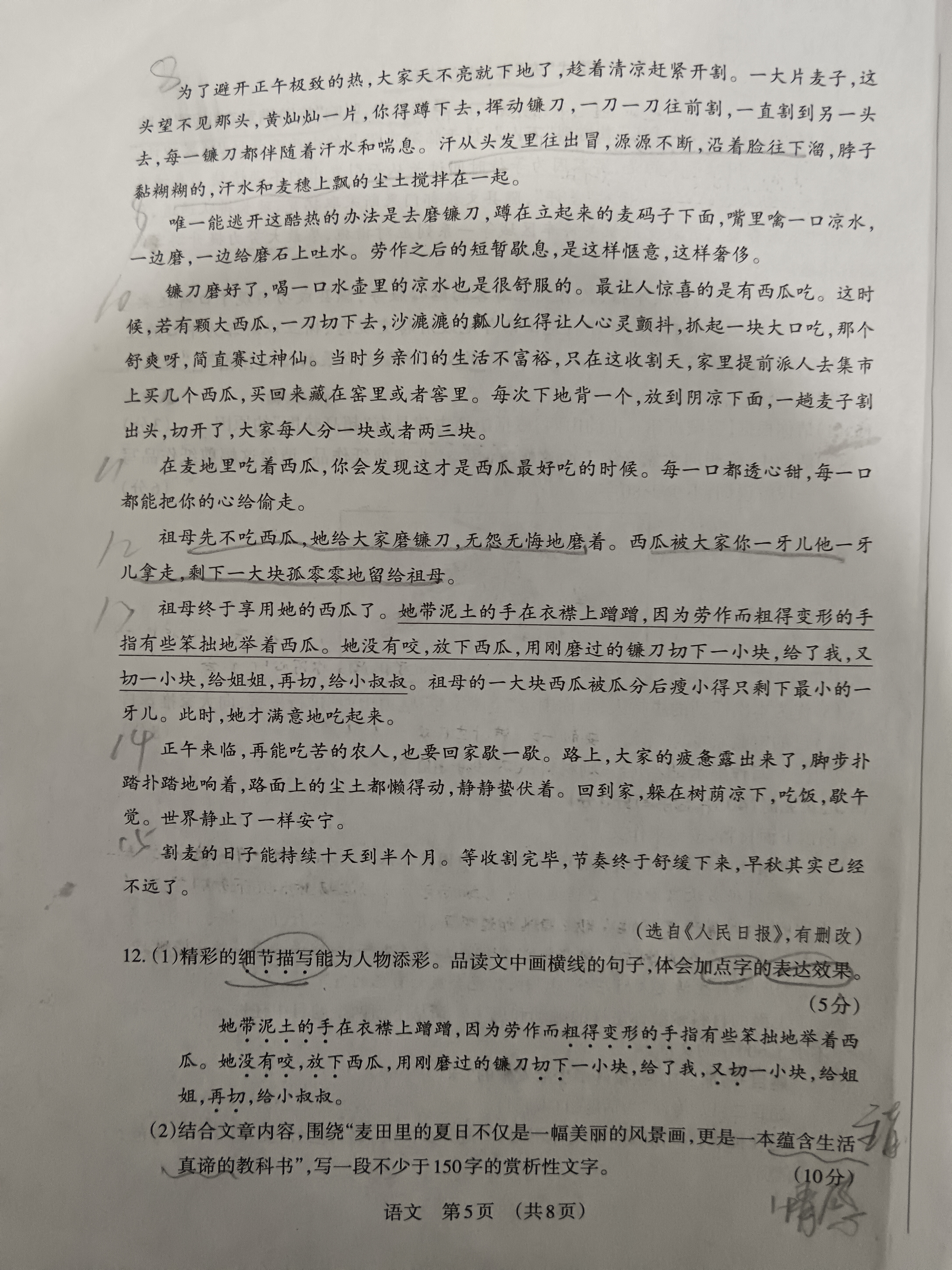 陕西省2024-2025学年度第一学期七年级期中调研试题（卷）E语文试题