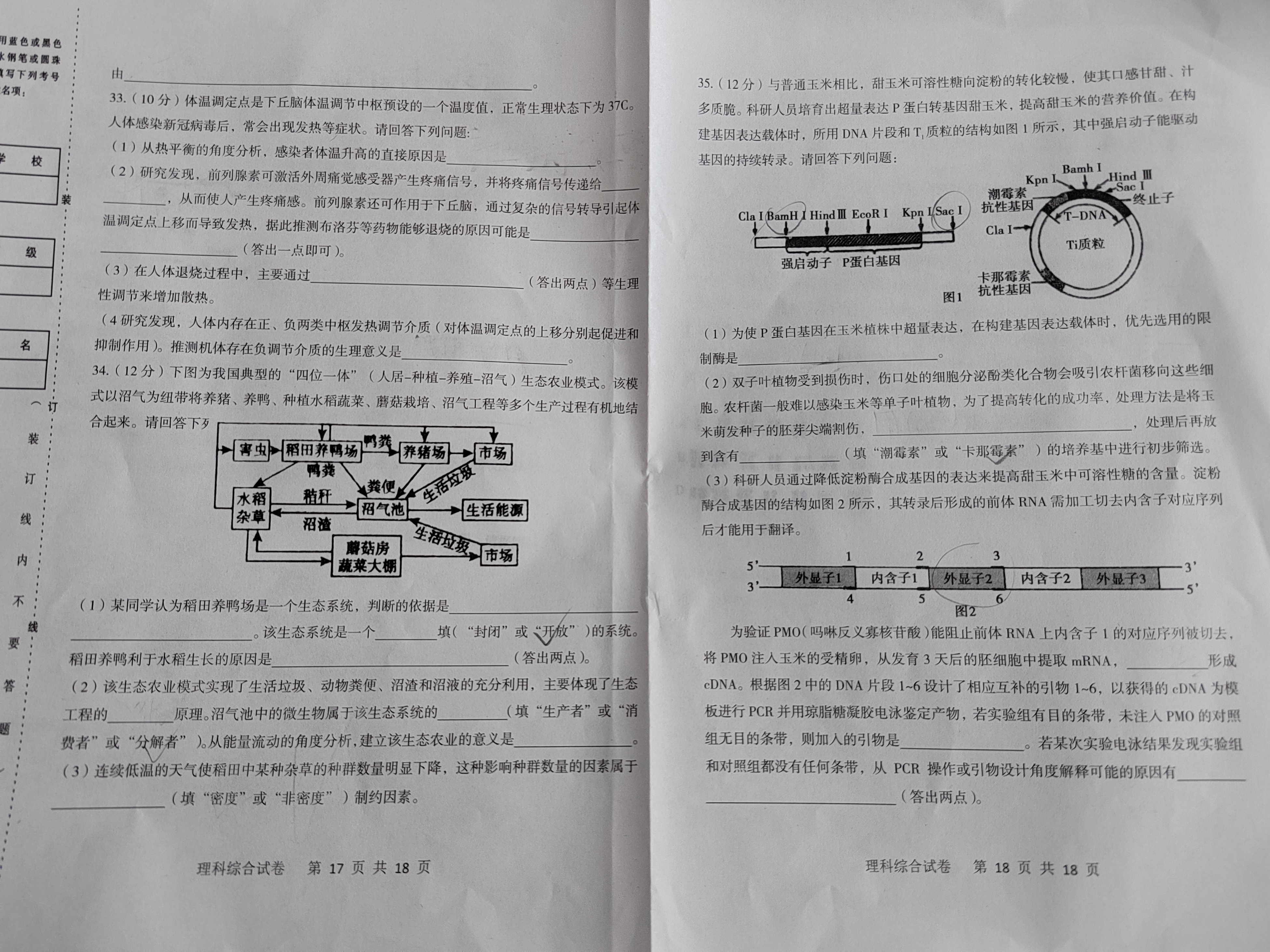 2024年普通高校招生考试仿真模拟卷(一)1理科综合L答案
