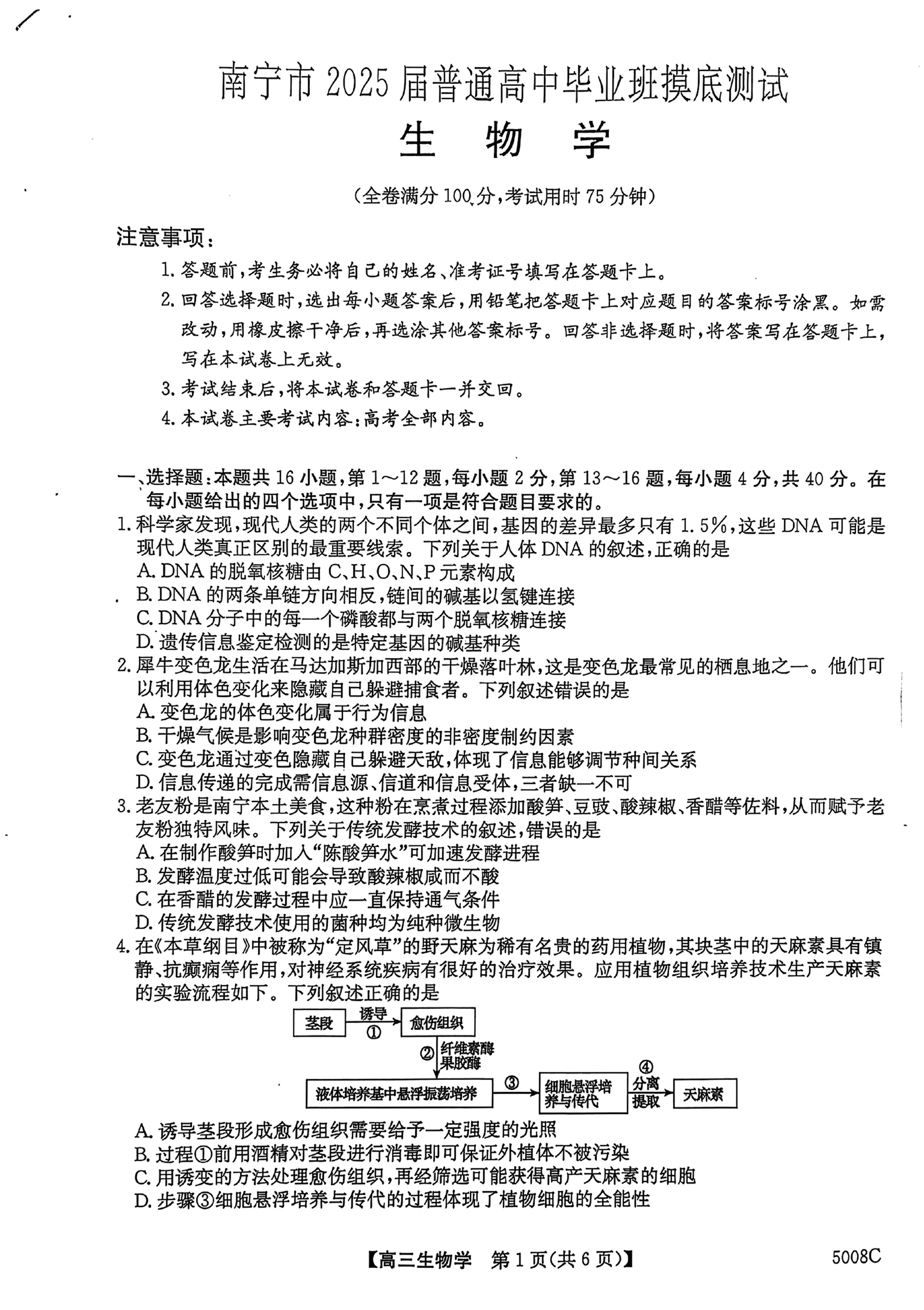 三晋卓越联盟·山西省2024-2025学年高一期中质量检测卷（25-X-129A）生物答案