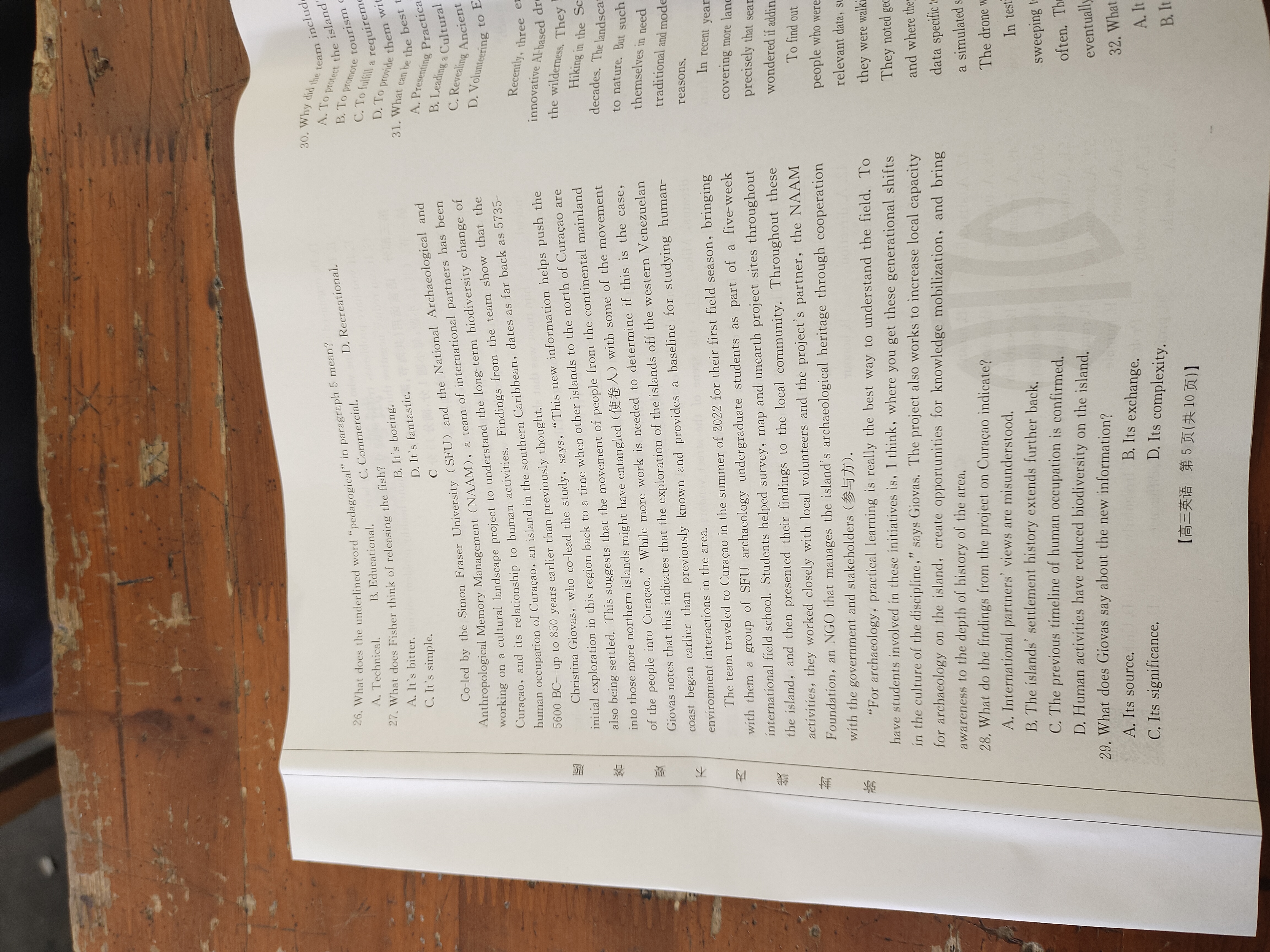 九师联盟 2024~2025学年高三核心模拟卷(上)·(一)1英语试题