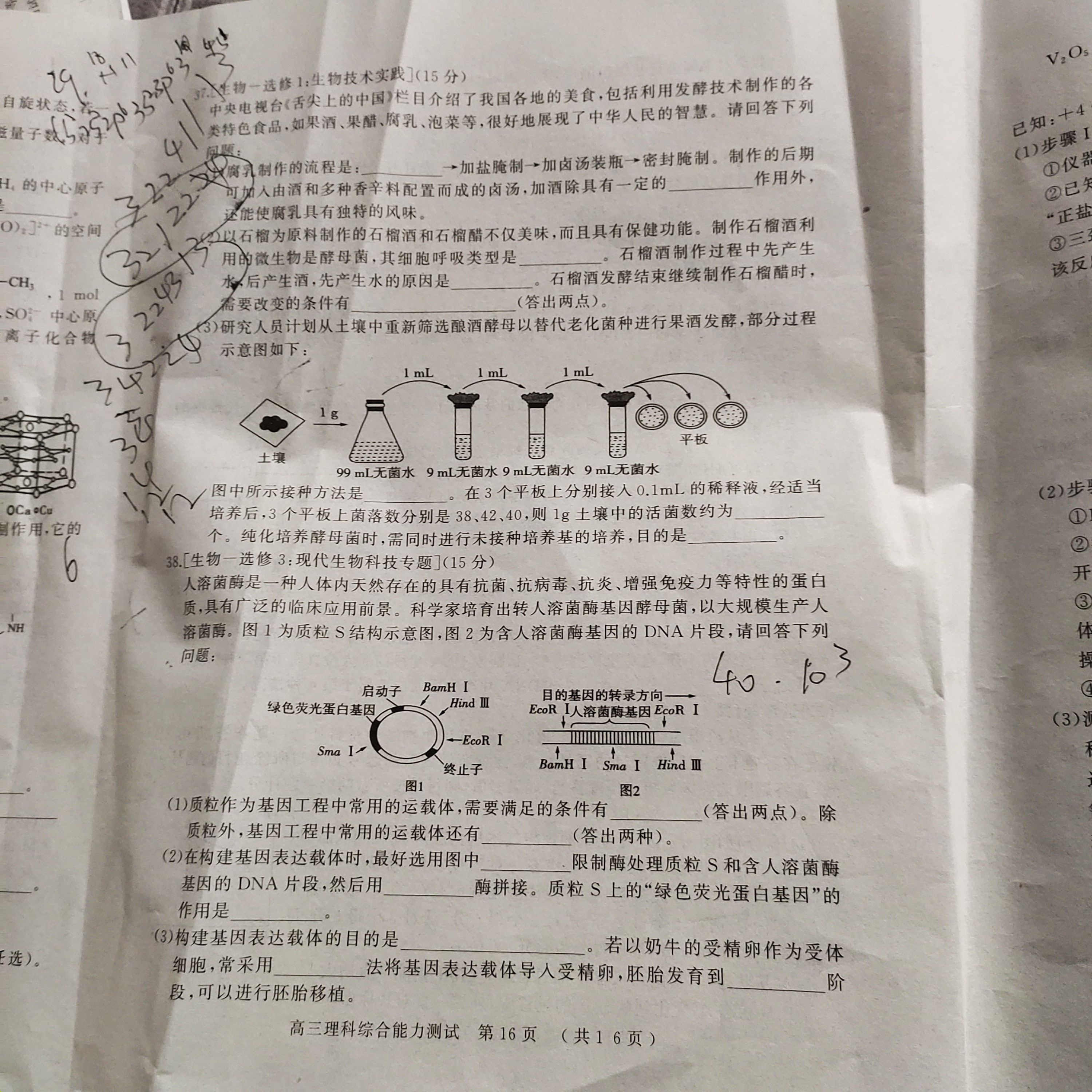 2024届衡中同卷[调研卷](二)2理科综合(新教材版A)试题