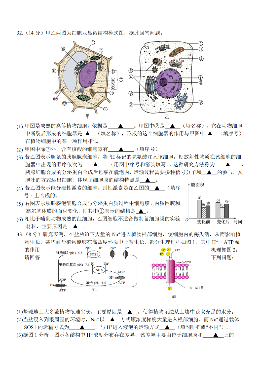[桂柳文化]2025届高考桂柳鸿图模拟金卷(四)4生物答案