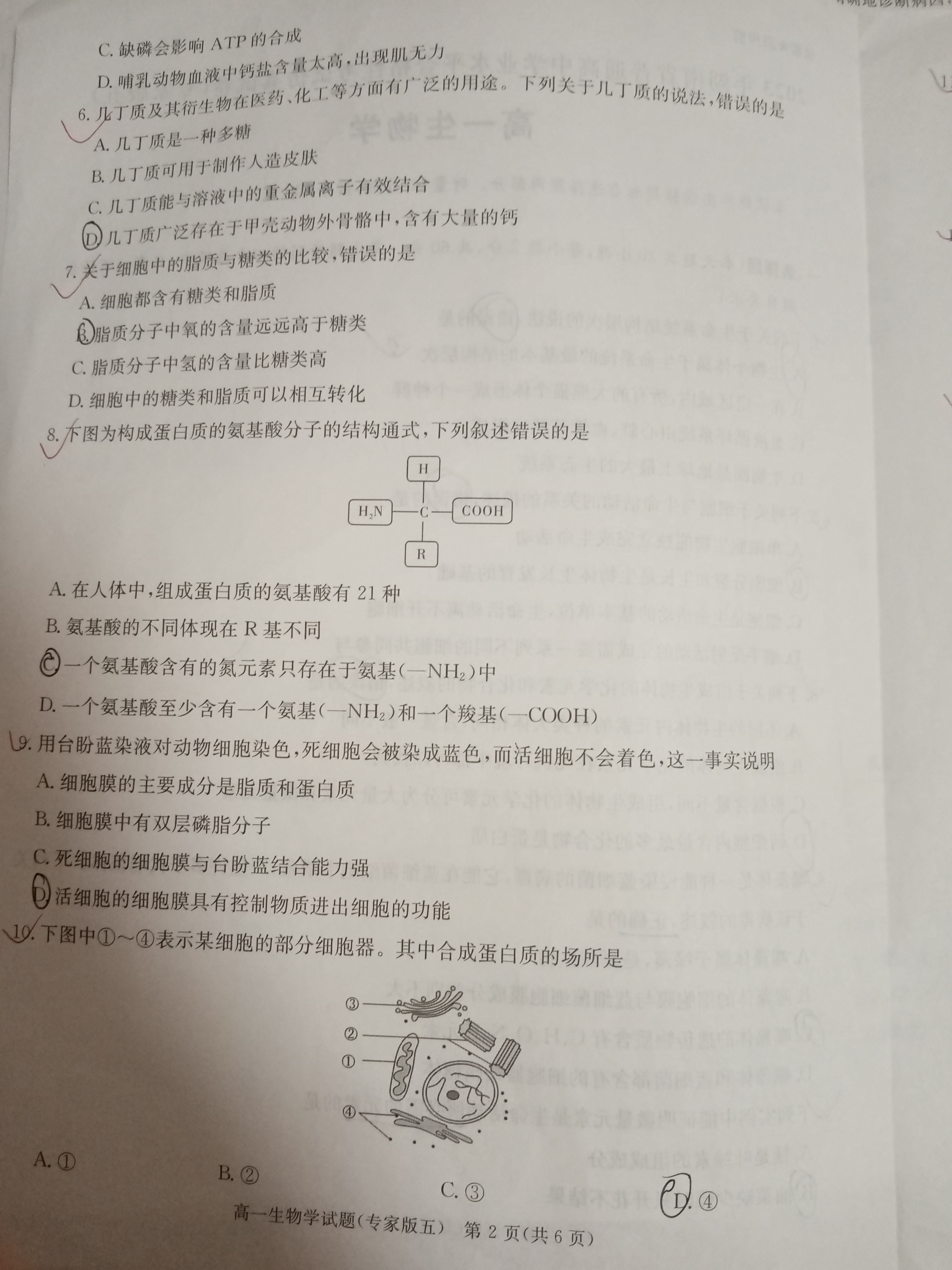2024届杭州一模高三10月联考生物试卷答案