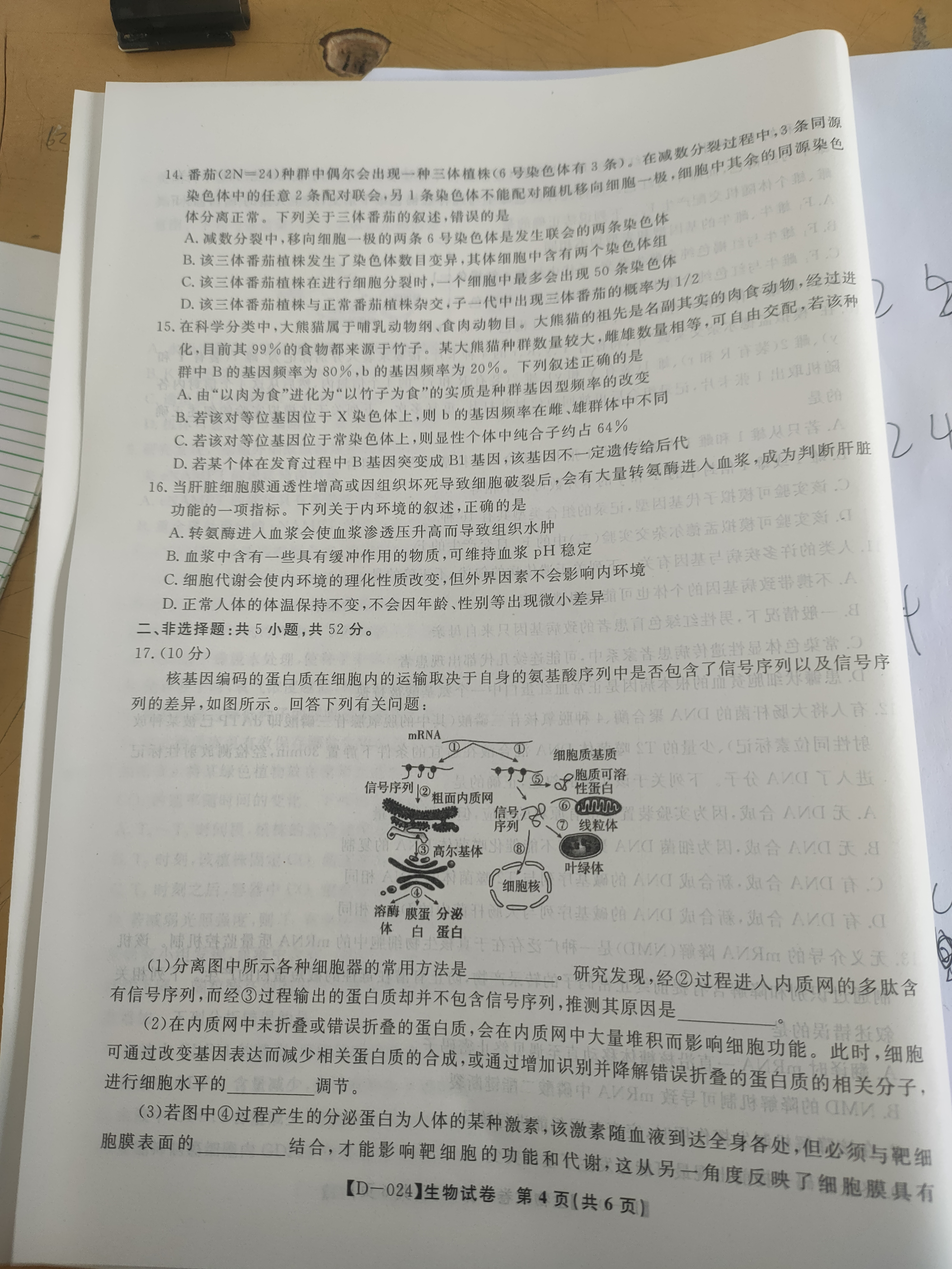 2024届衡中同卷[调研卷](一)1生物(新教材版L)答案
