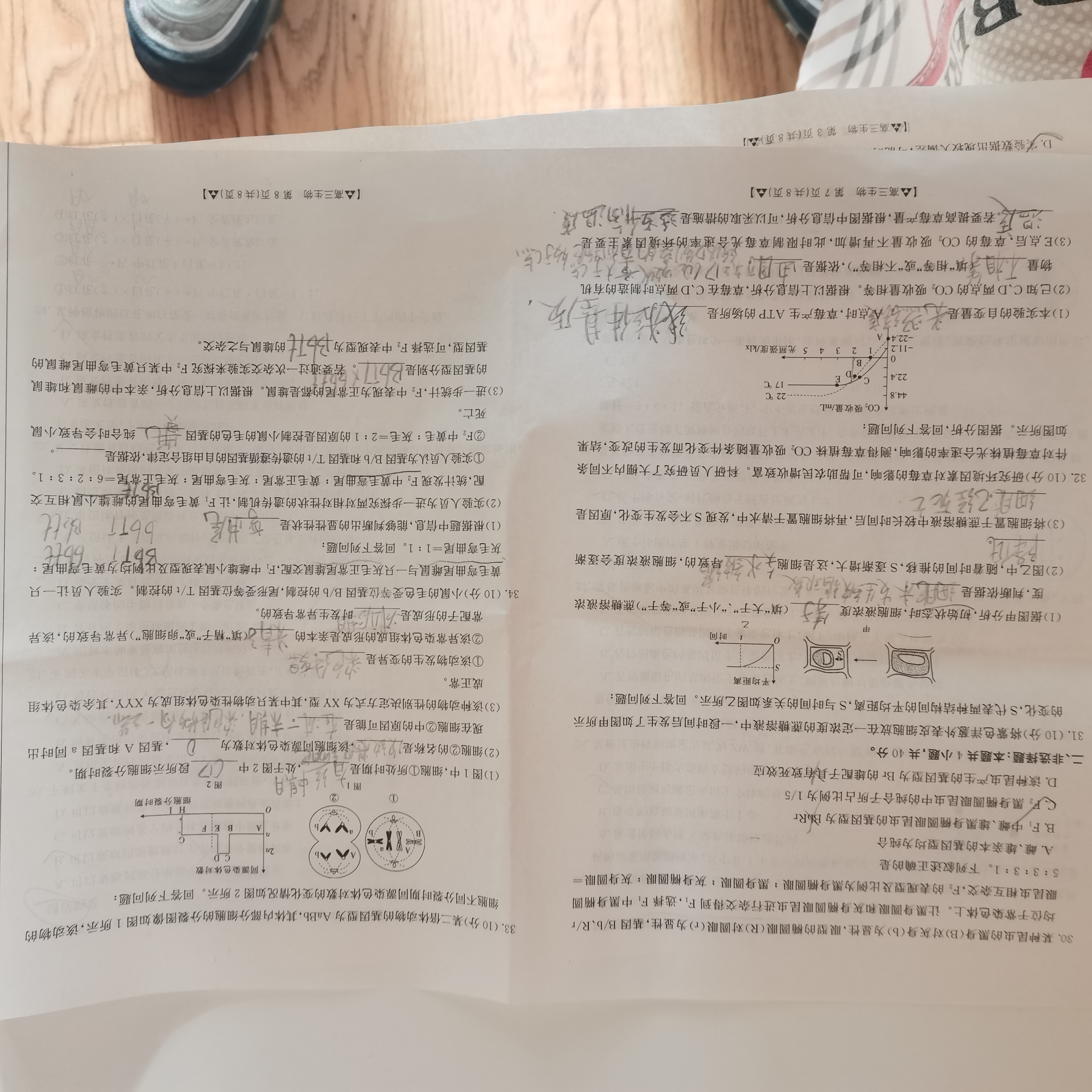 2024届全国100所名校单元测试示范卷·生物[24·G3DY(新高考)·生物-R-必考-QG]七试题