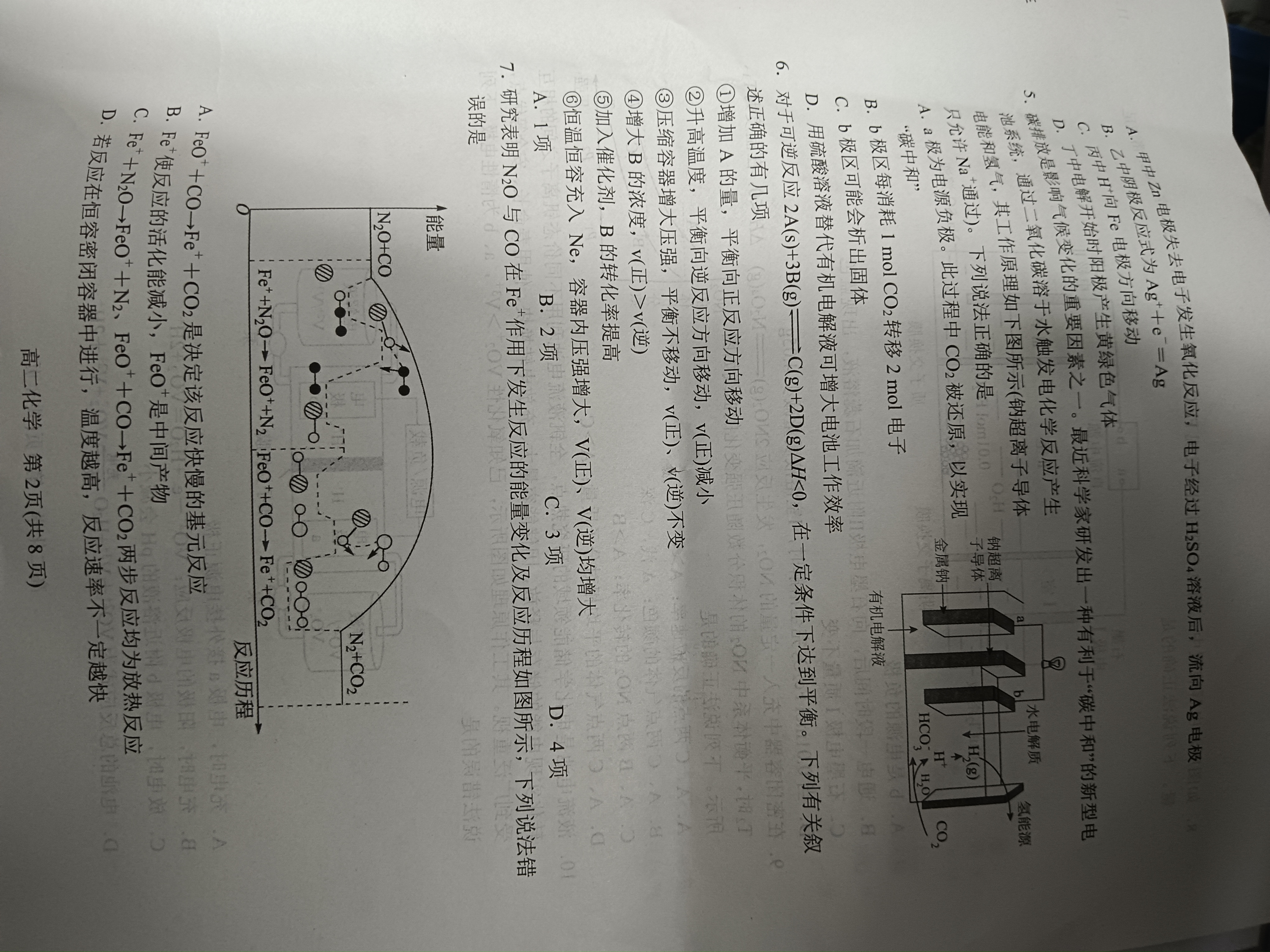 [金科大联考]2024~2025学年度11月期中质量检测高一(25136A)化学-B试题