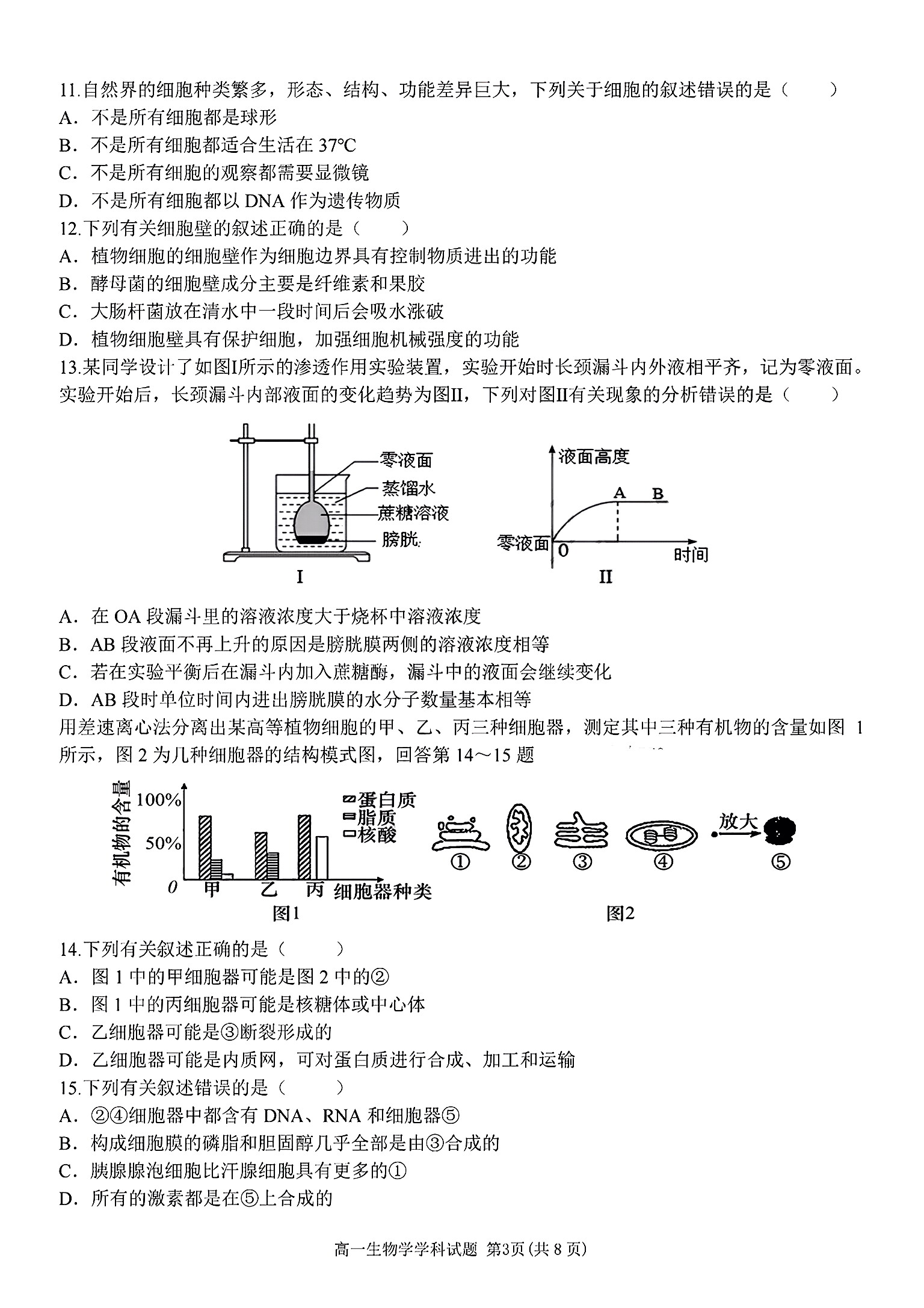 [金科大联考]2024~2025学年度11月期中质量检测高一(25136A)生物答案