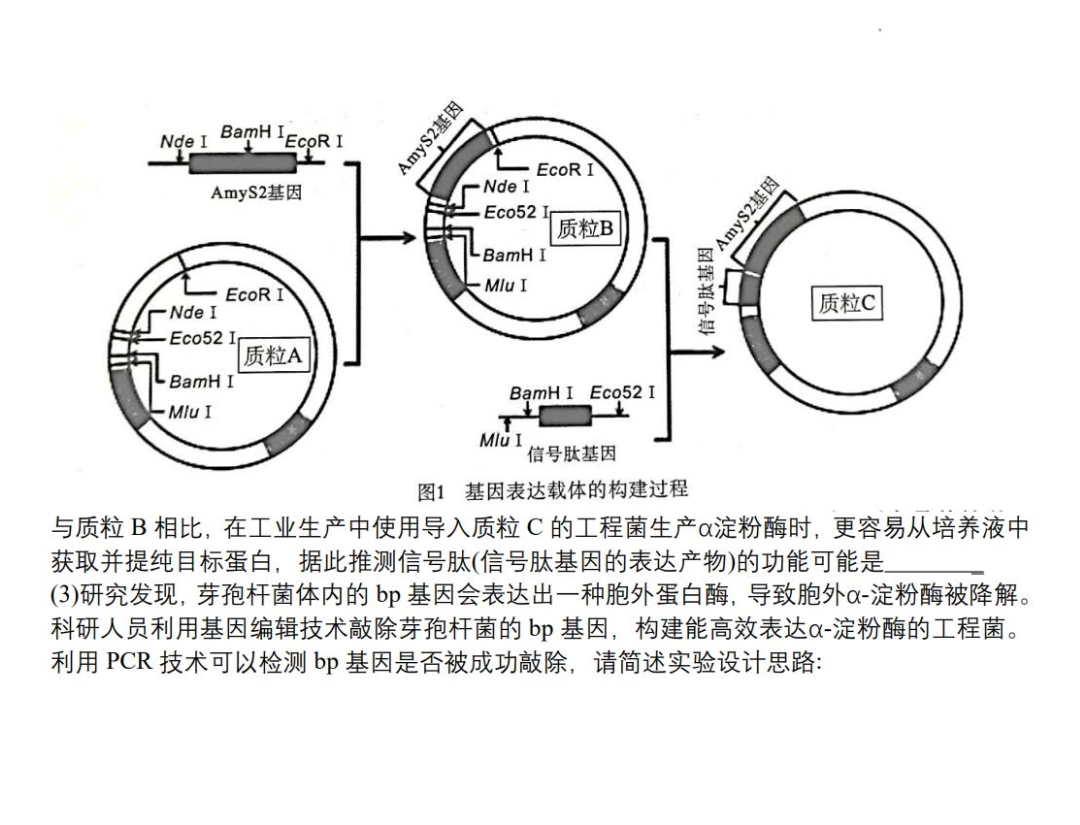 2024届全国100所名校单元测试示范卷·生物[24·G3DY(新高考)·生物-SJB-必考-HUN]三试题