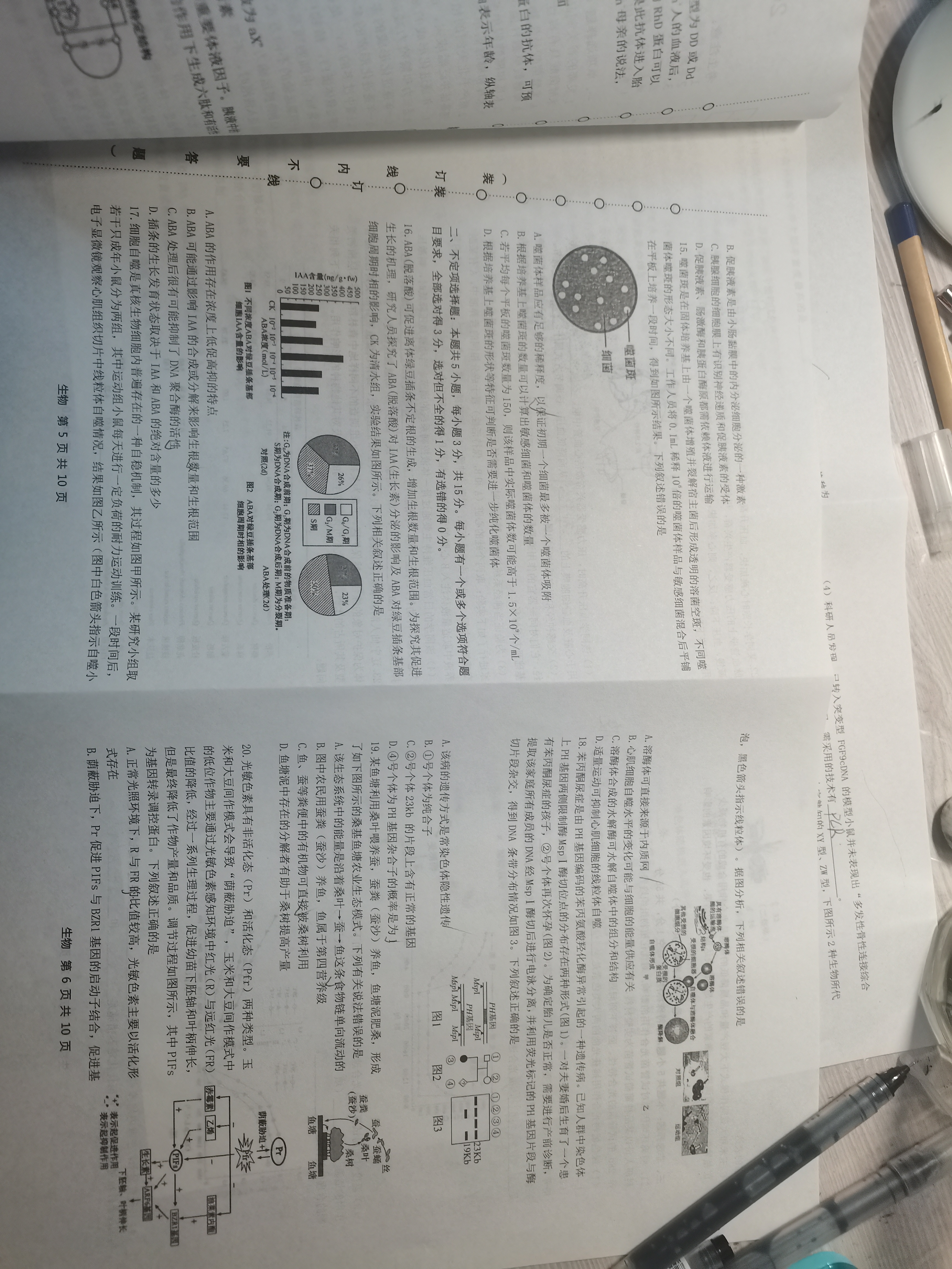 2024届衡水金卷先享题 信息卷[广西专版]生物(四)4答案