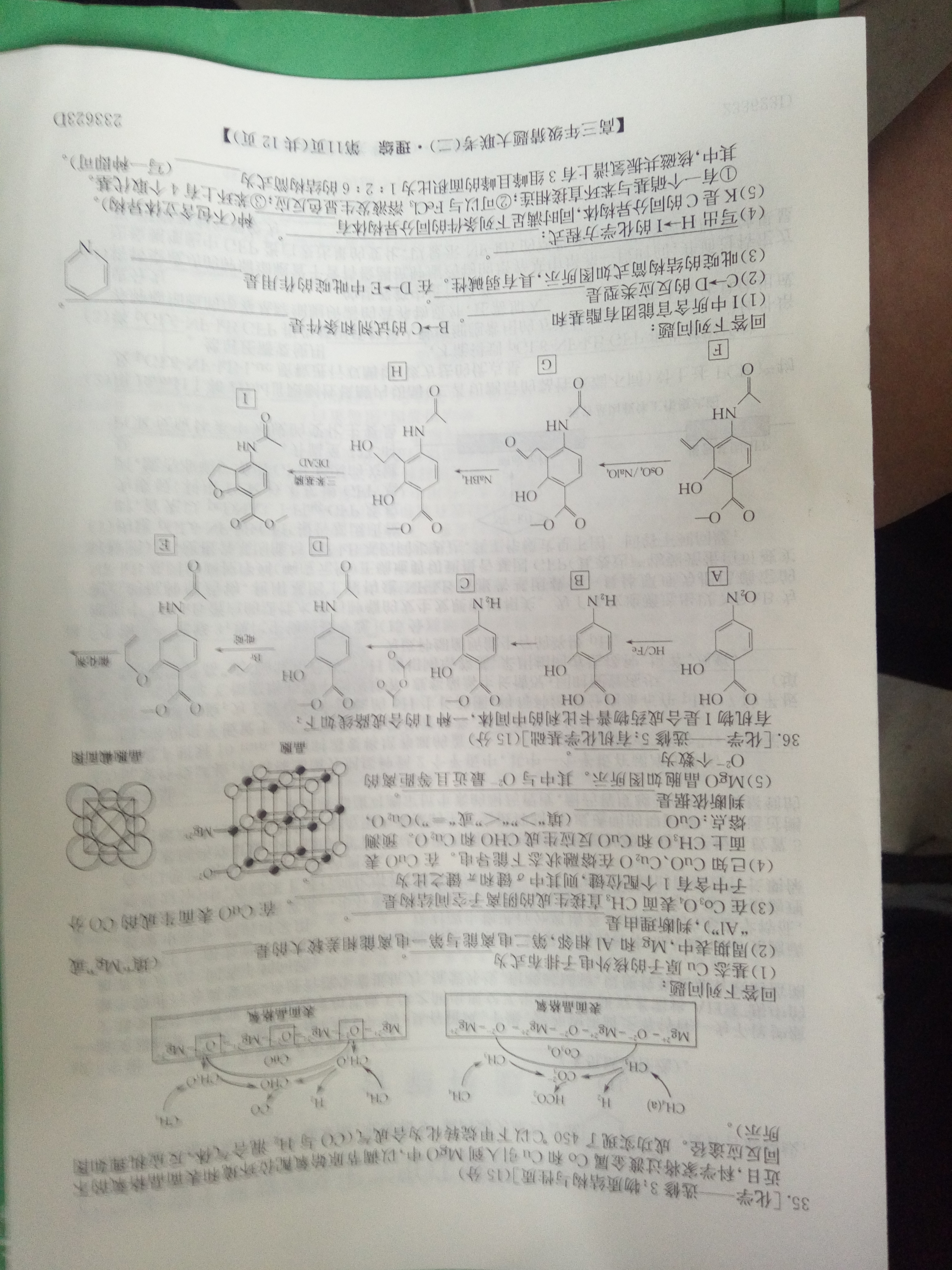 [九师联盟]2023~2024学年高三核心模拟卷(中)(三)3理科综合(新教材)答案