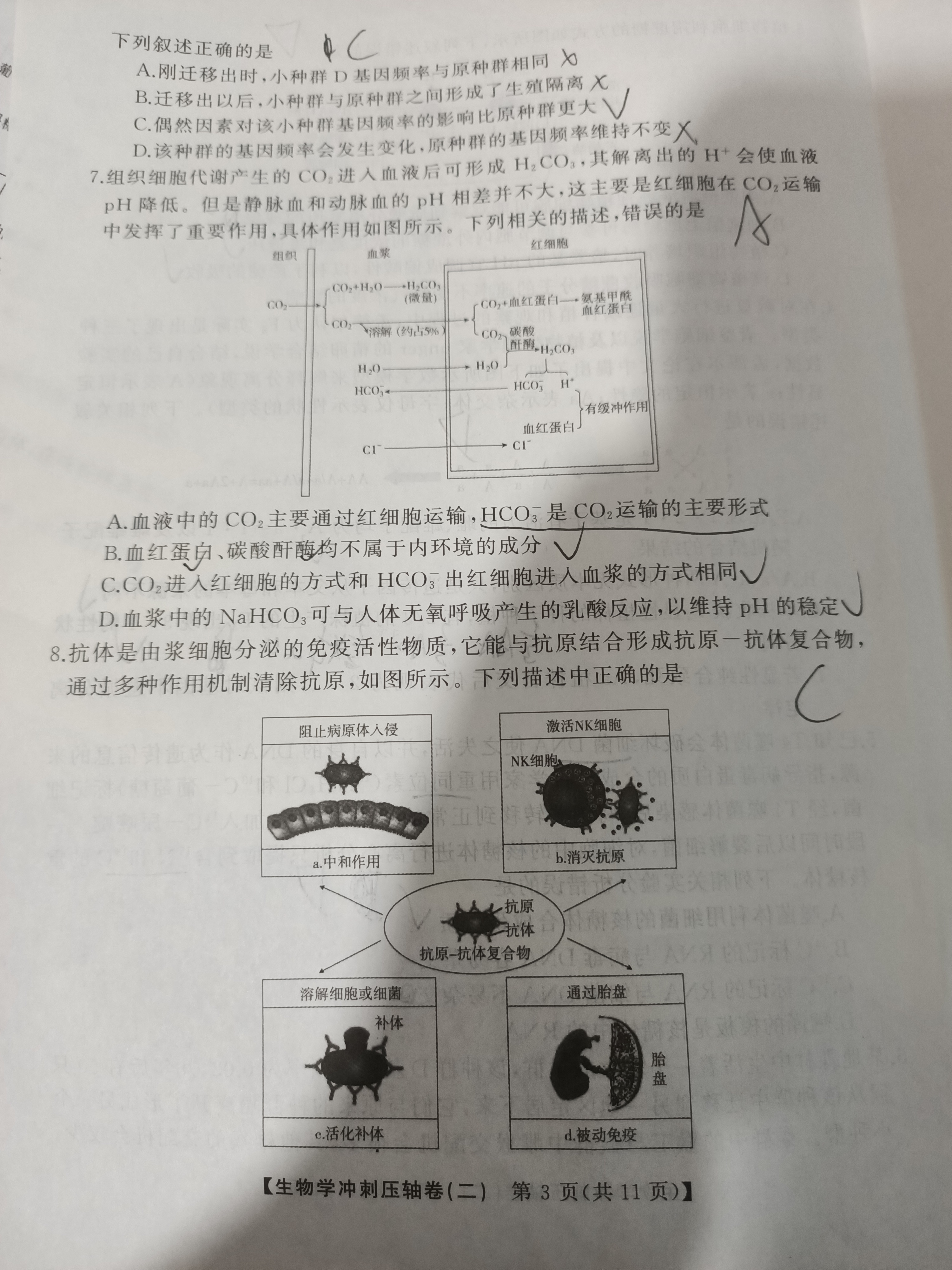 炎德英才大联考(雅礼版)雅礼中学2024届模拟试卷(一)1生物试题