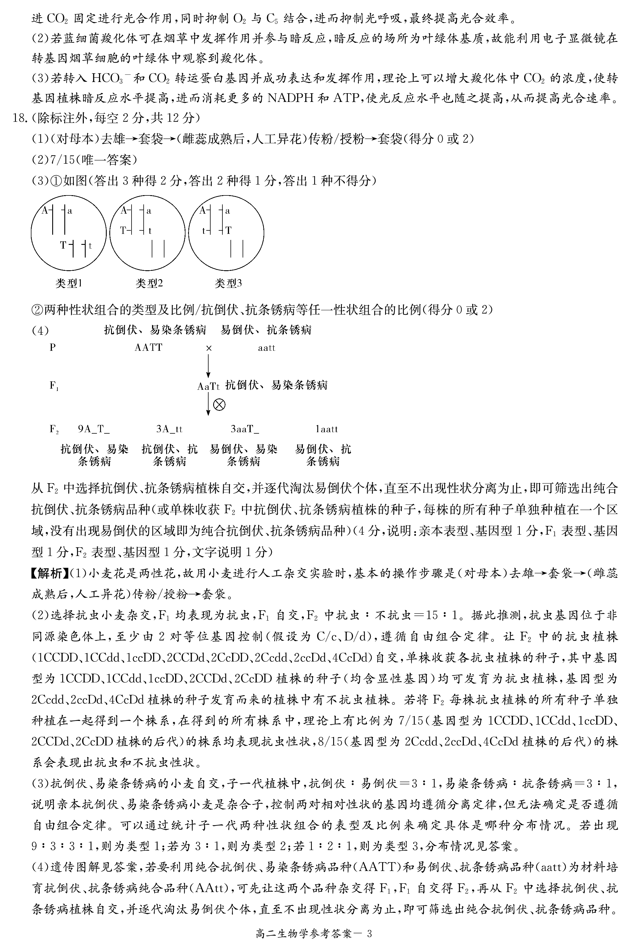 [金科大联考]·2024届高三年级2月质量检测生物A试题