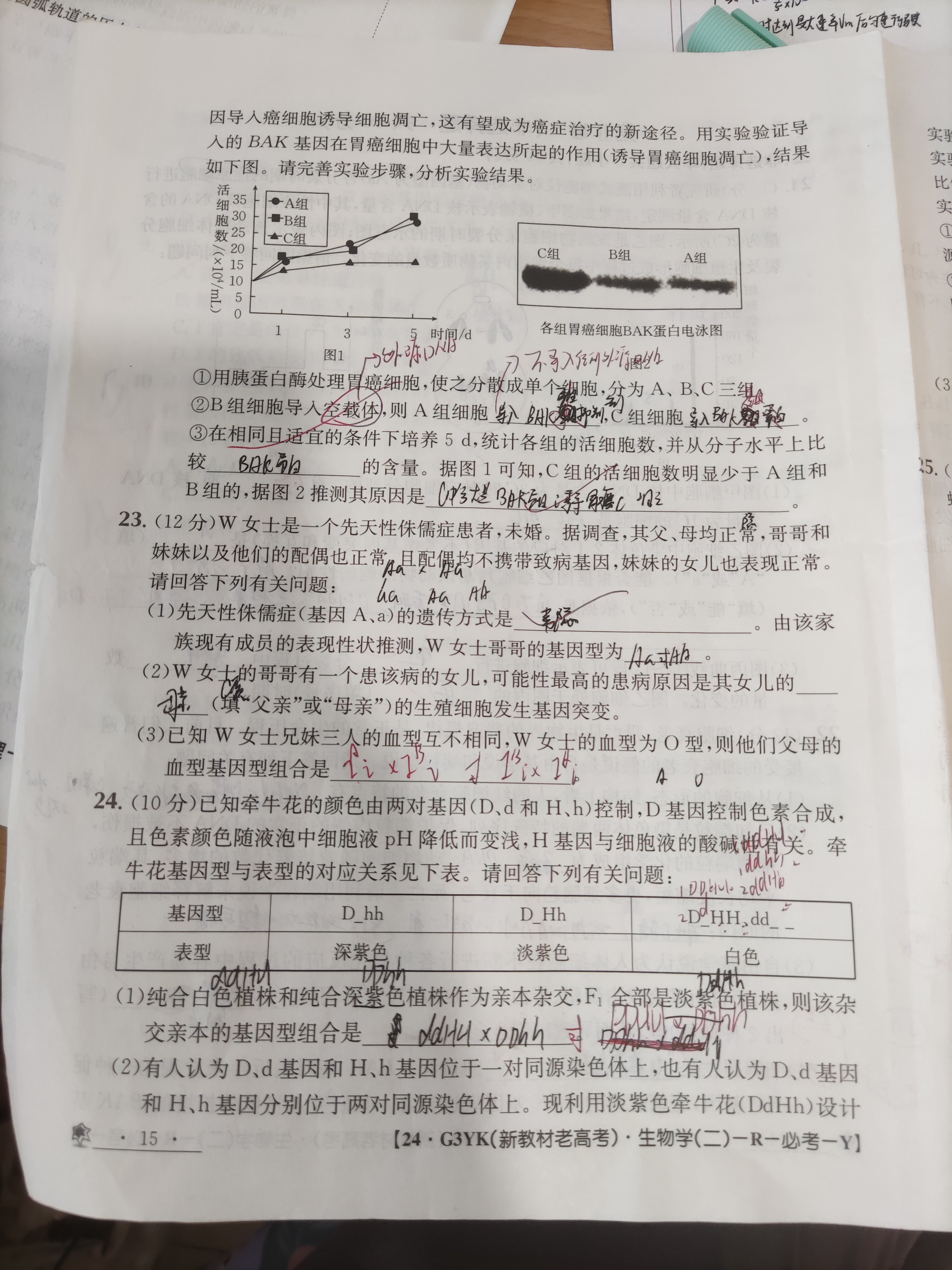 石室金匮·2024届高考专家联测卷(一)生物试卷答案