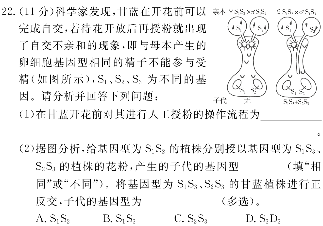 河北省2023年普通高中学业水平选择性考试(高考样卷) 23·(新高考)高考样卷·生物学·HEB 生物学样卷(一)答案