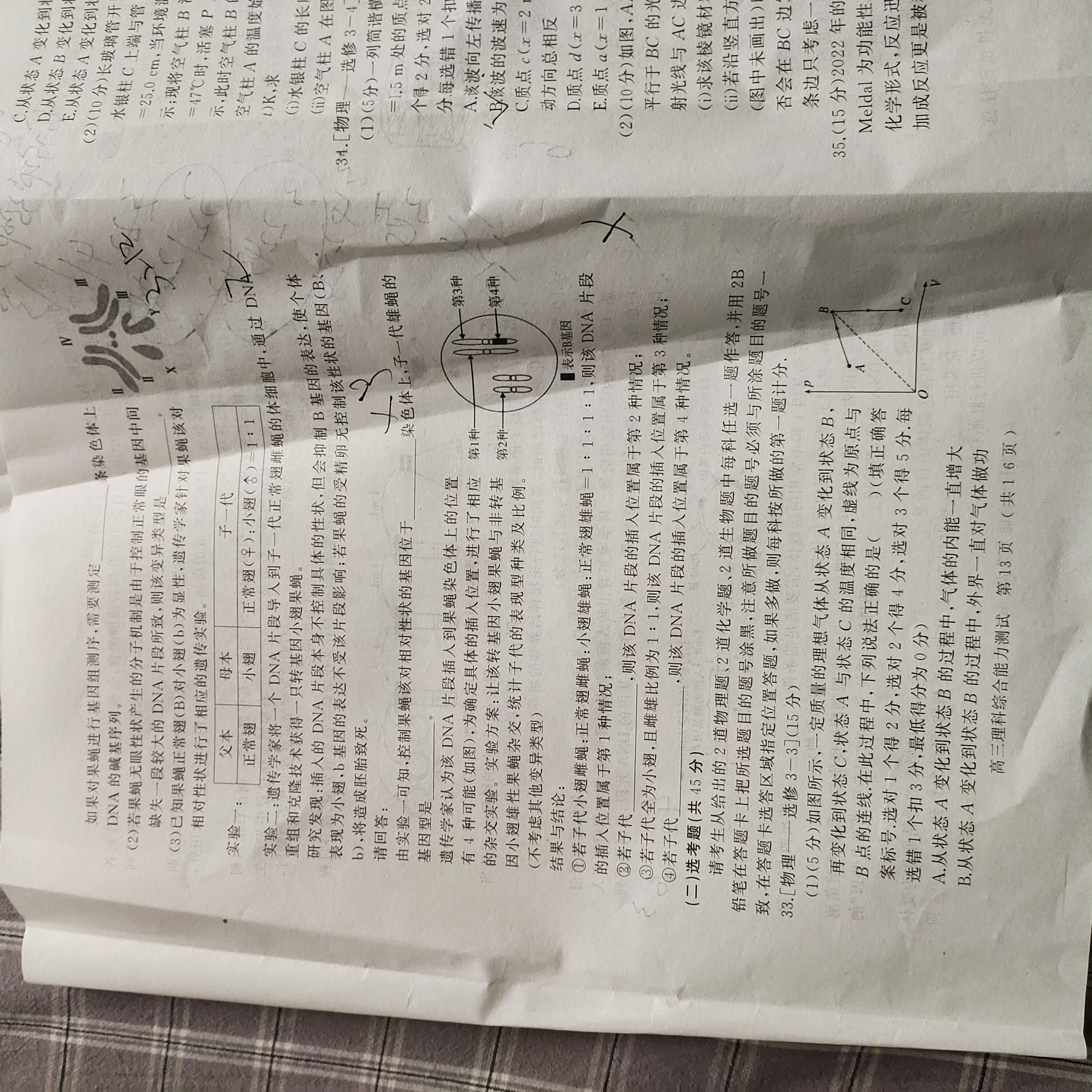 2024届衡水金卷先享题 [调研卷](五)5理综(JJ·B)试题