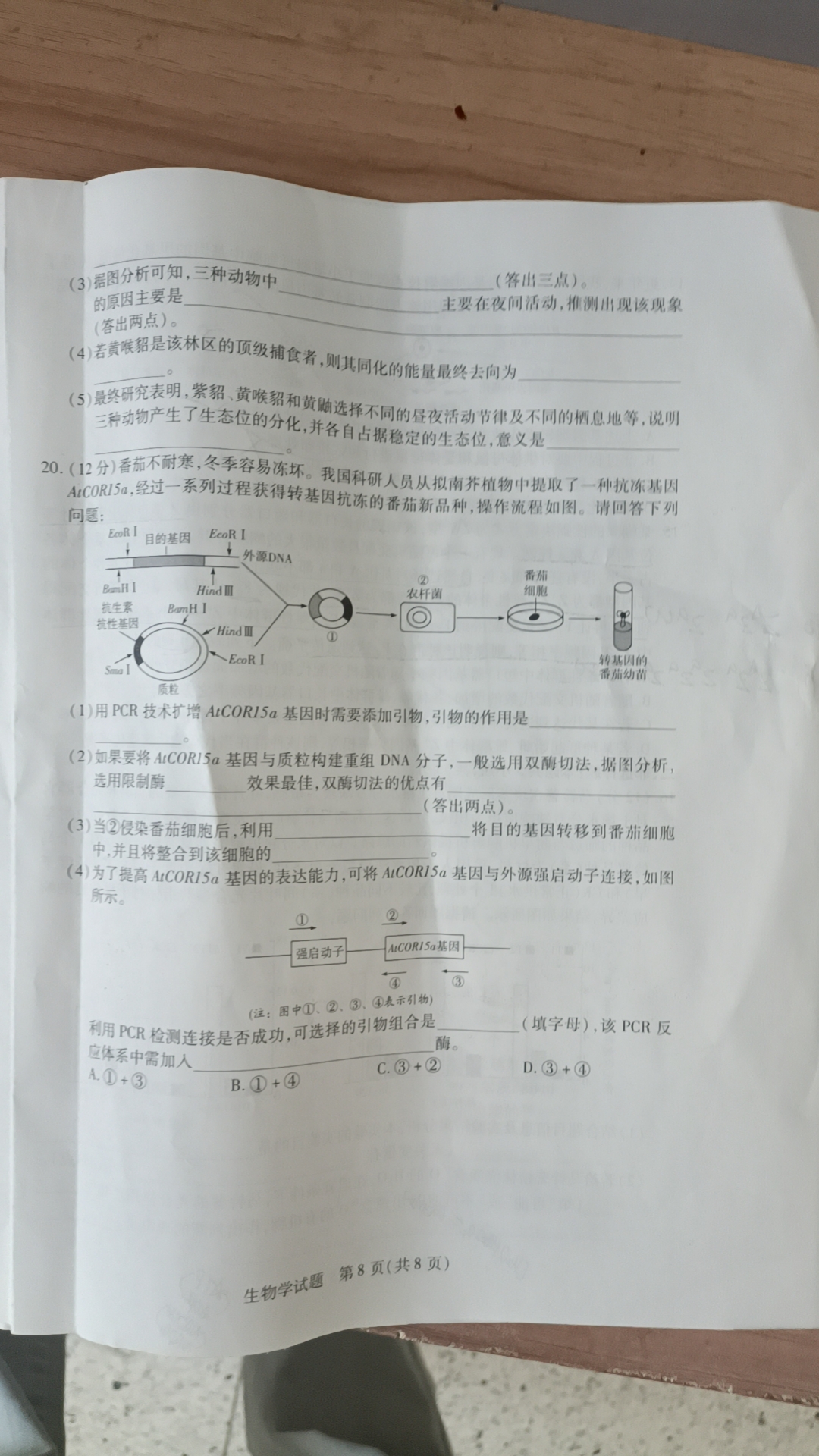 [青桐鸣]2025届普通高等学校招生全国统一考试 青桐鸣高二联考(3月)生物答案
