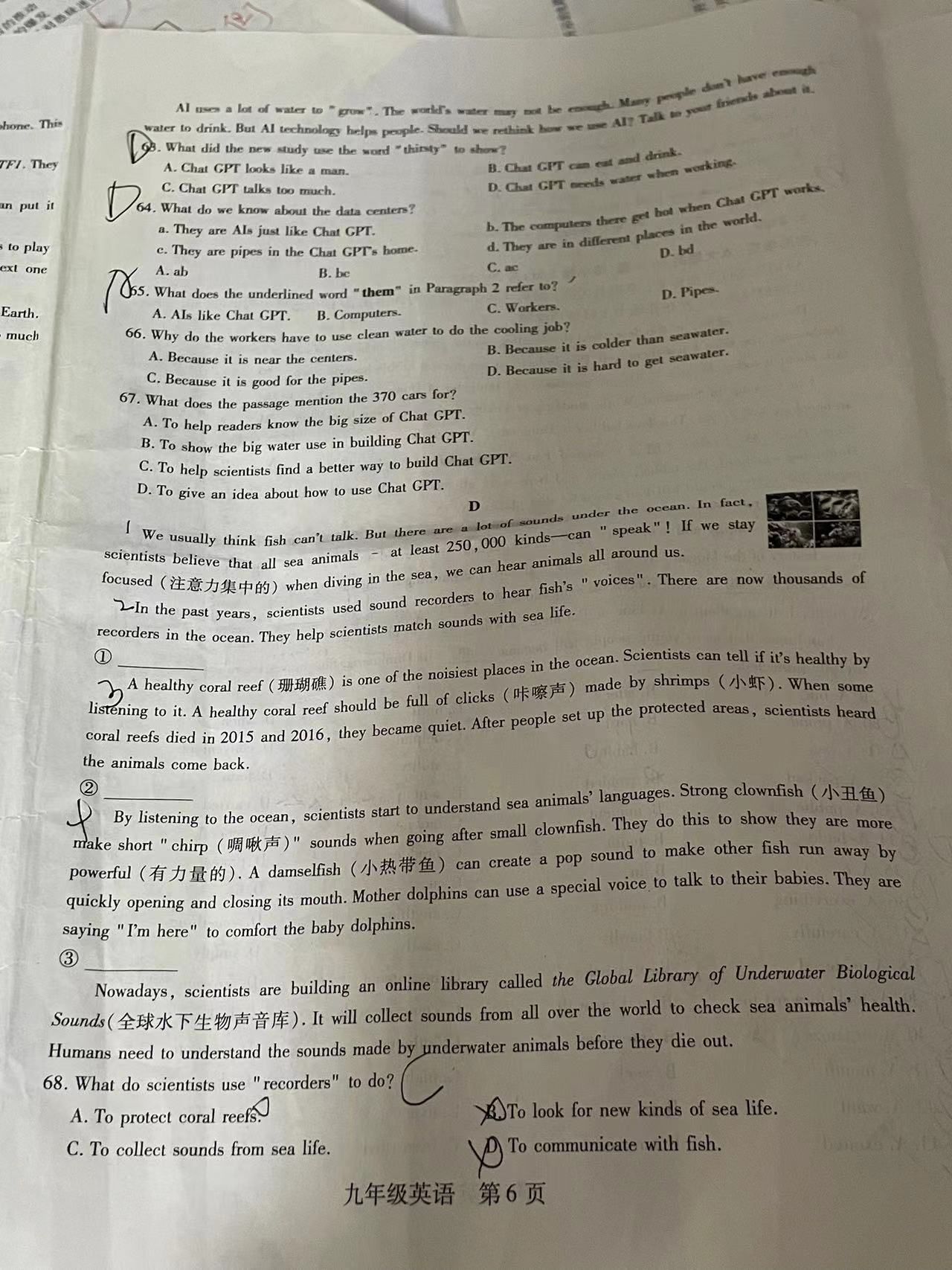 山东普高大联考高二11月联合质量测评英语x