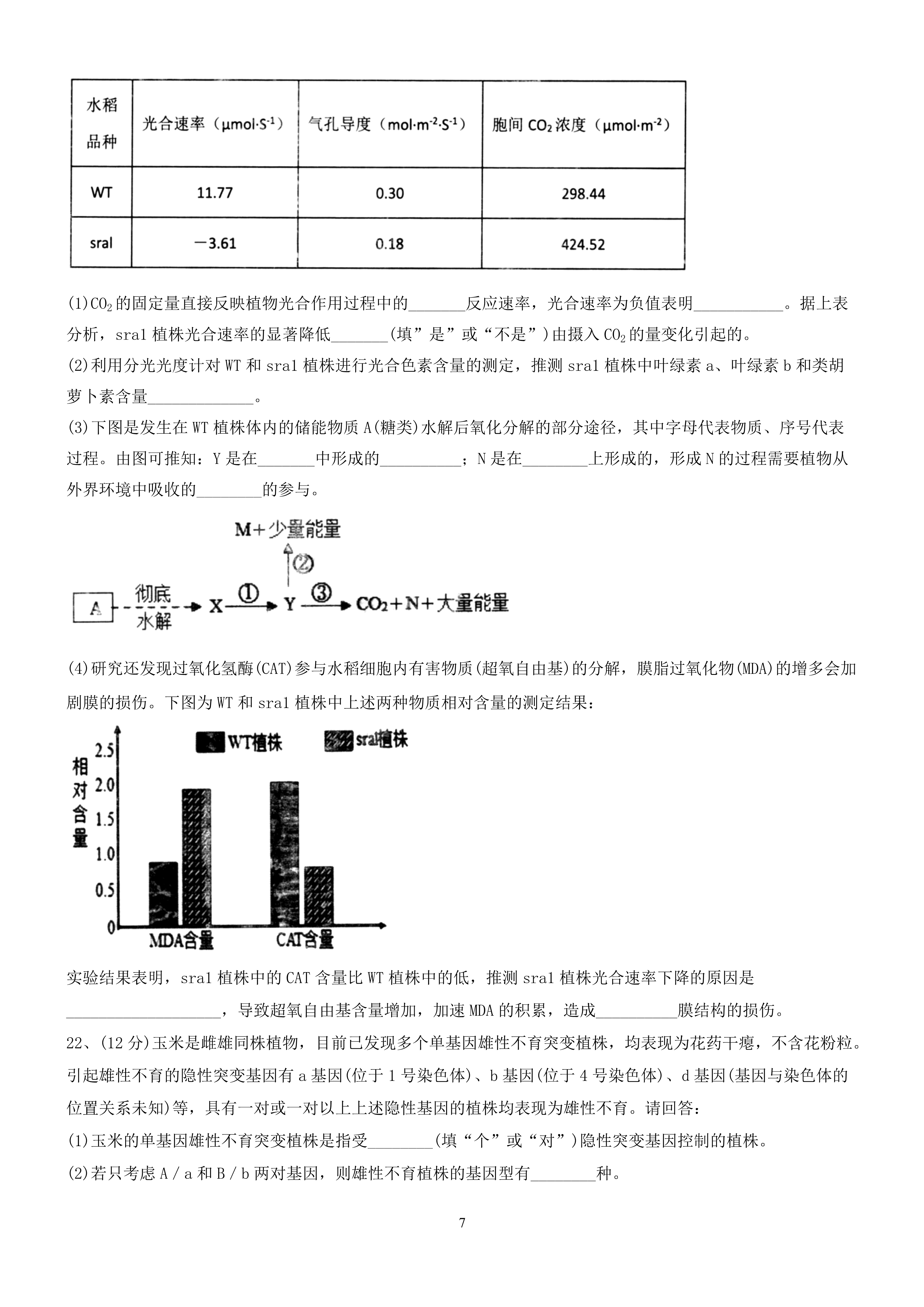 安徽省2023-2024学年度九年级上学期阶段性练习(一)生物答案