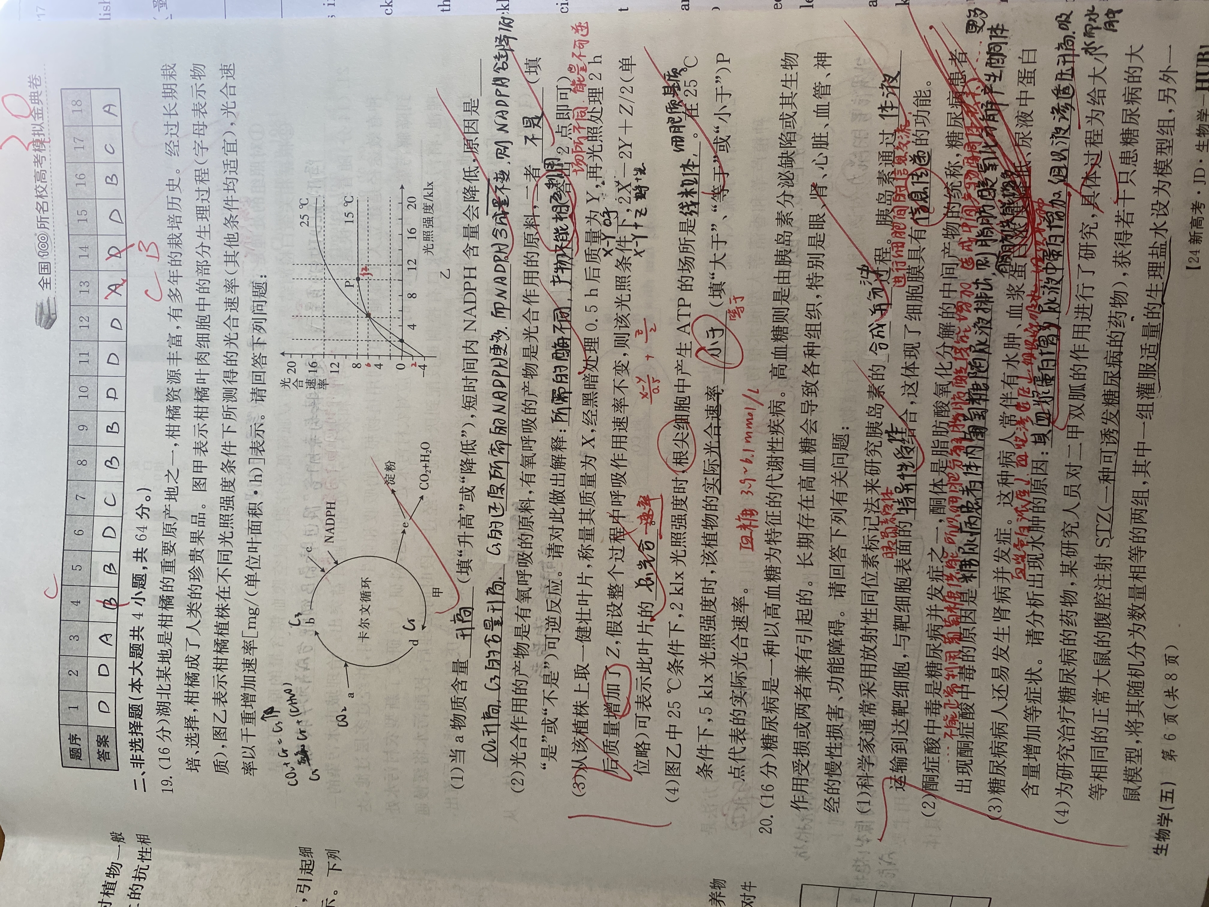楚雄州中小学2023-2024学年上学期期中教育学业质量监测（高三）生物试卷答案