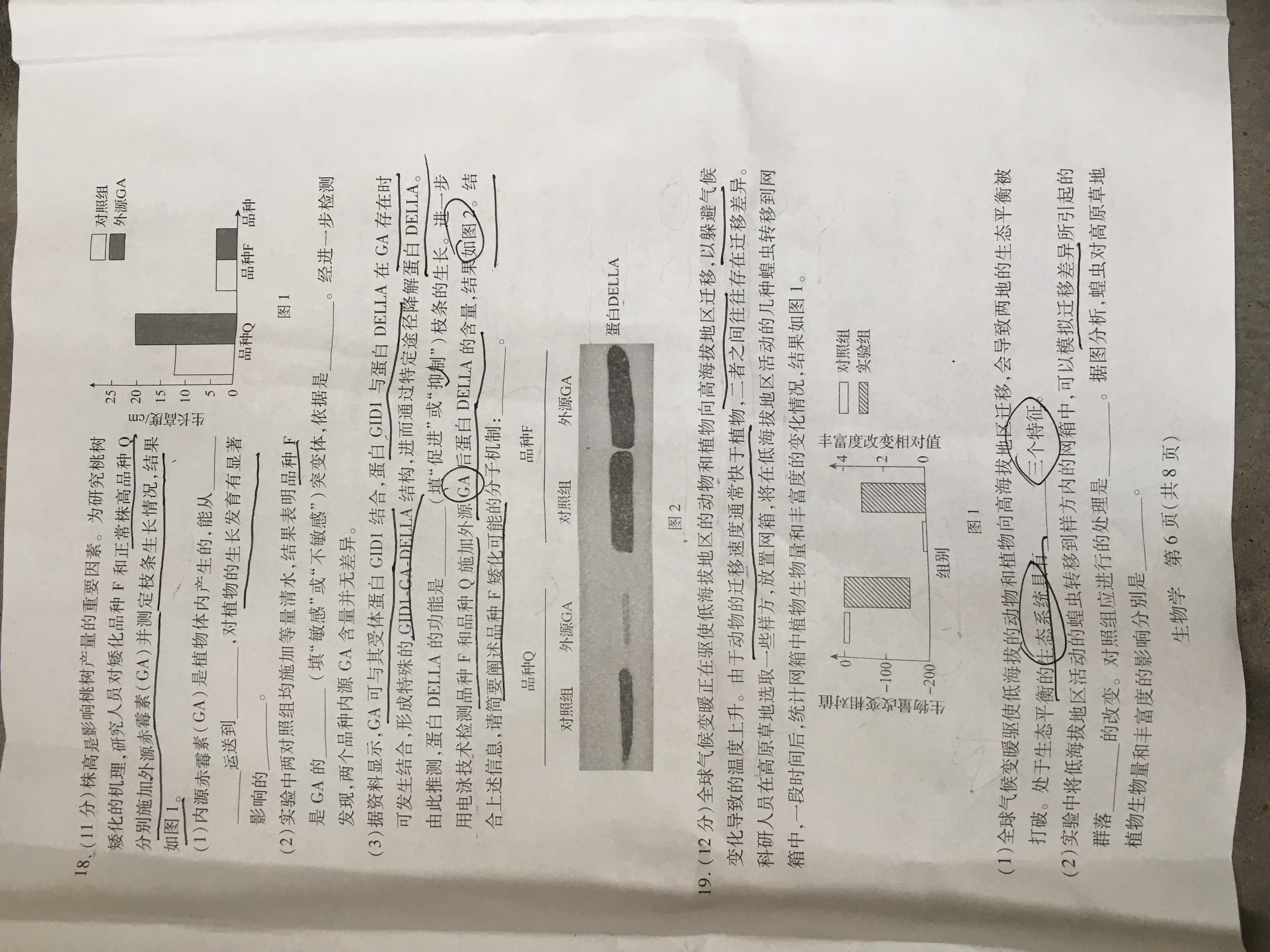 2024年衡水金卷先享题 分科综合卷 全国乙卷B 生物(三)
