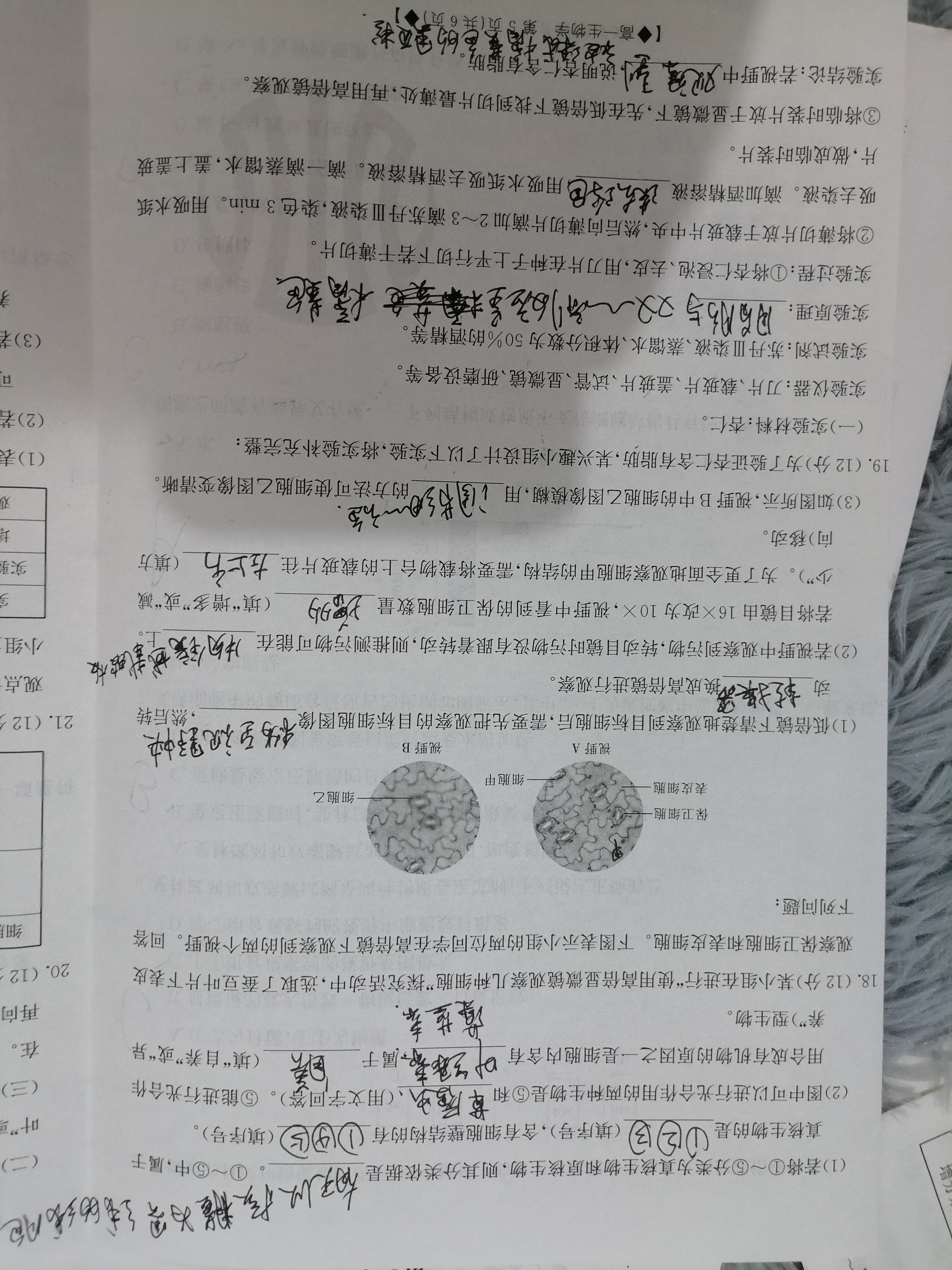 2023-2024学年广东省高一11月联考(24-112A)生物