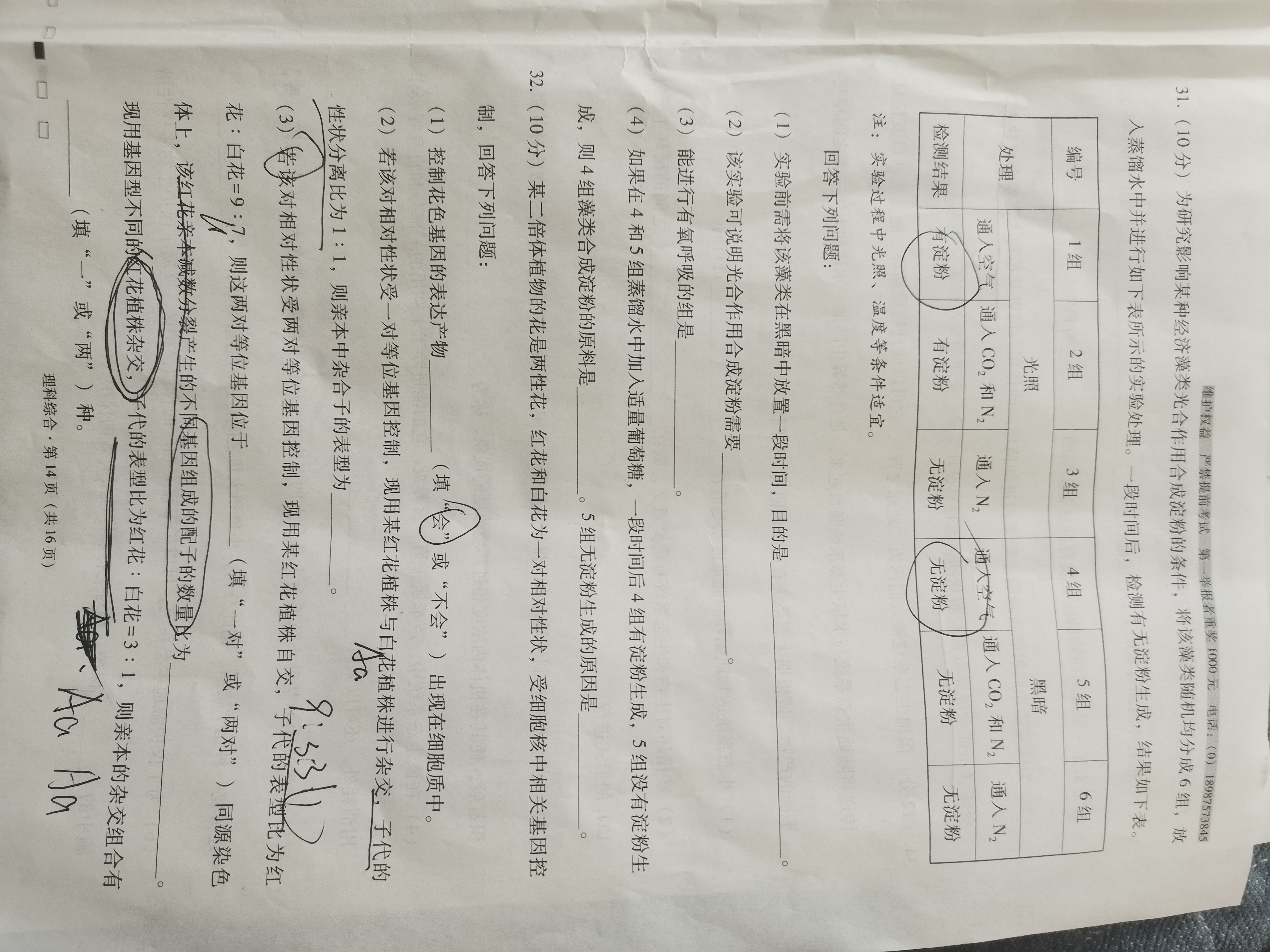 [九师联盟]2023~2024学年高三核心模拟卷(中)(三)3理科综合(XKB)试题