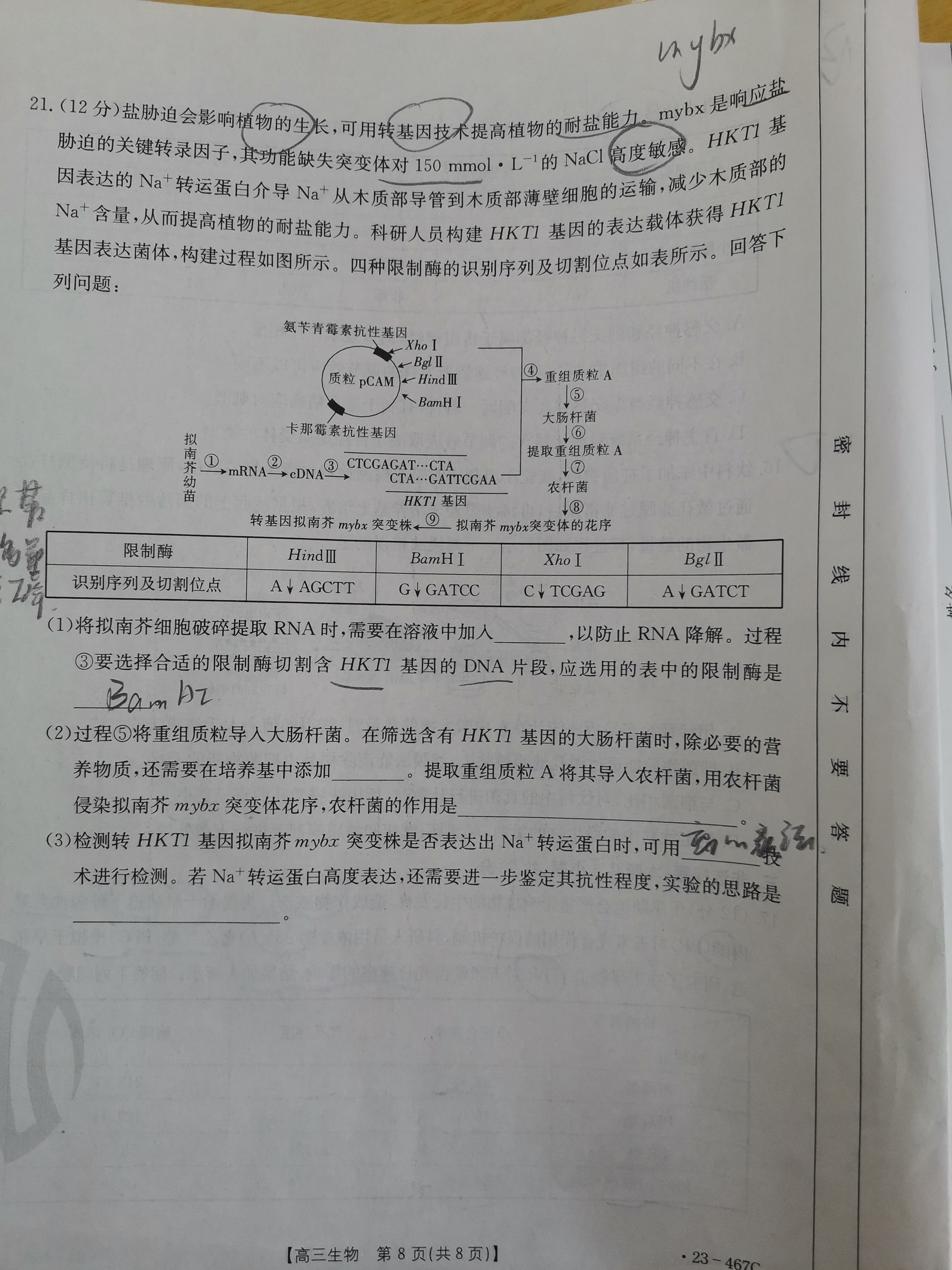 河北省2023年普通高中学业水平选择性考试(高考样卷) 23·(新高考)高考样卷·生物学·HEB 生物学样卷(一)答案