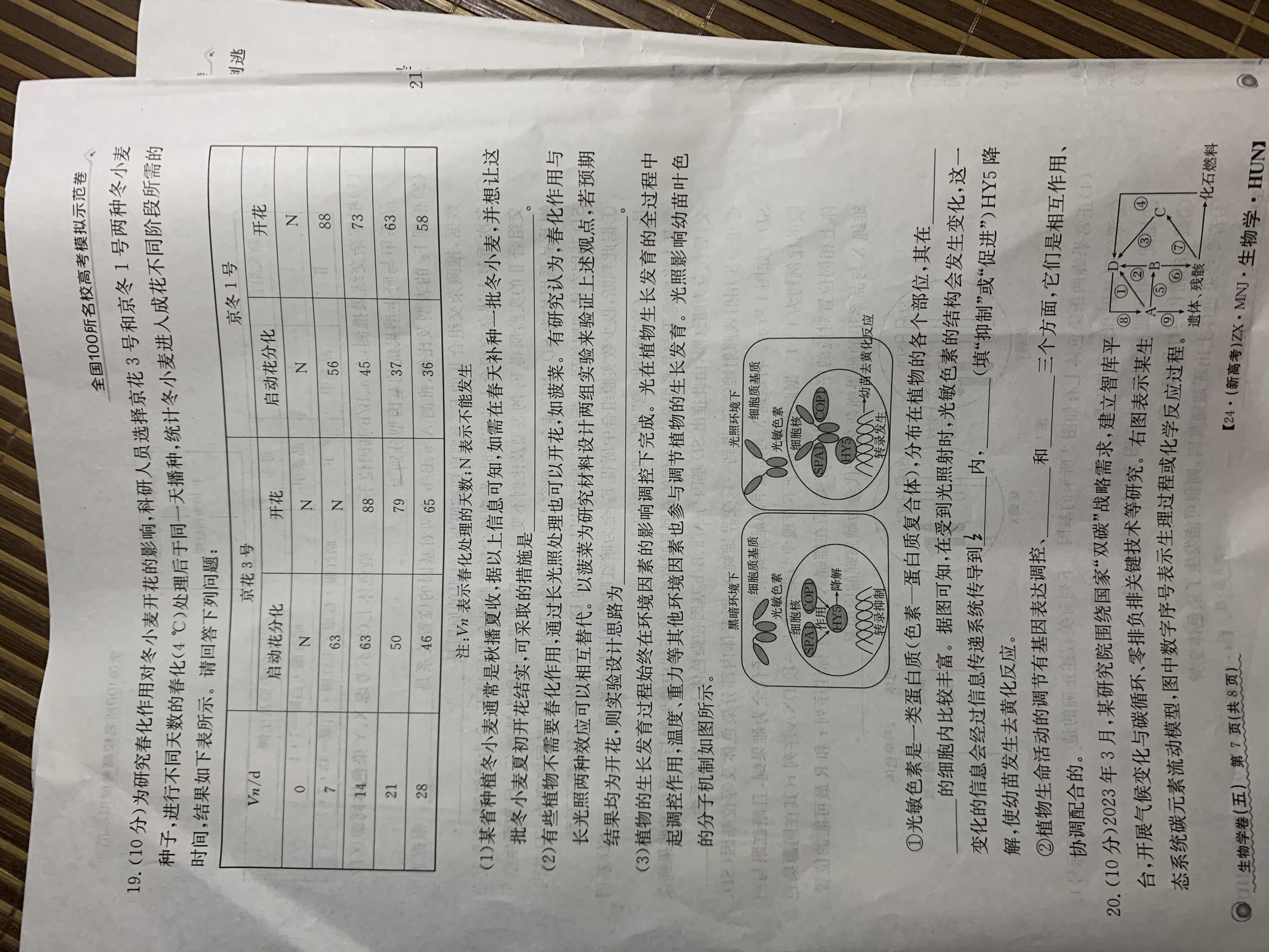 炎德英才大联考 长沙市一中2024届高三月考试卷(八)8试题(生物)