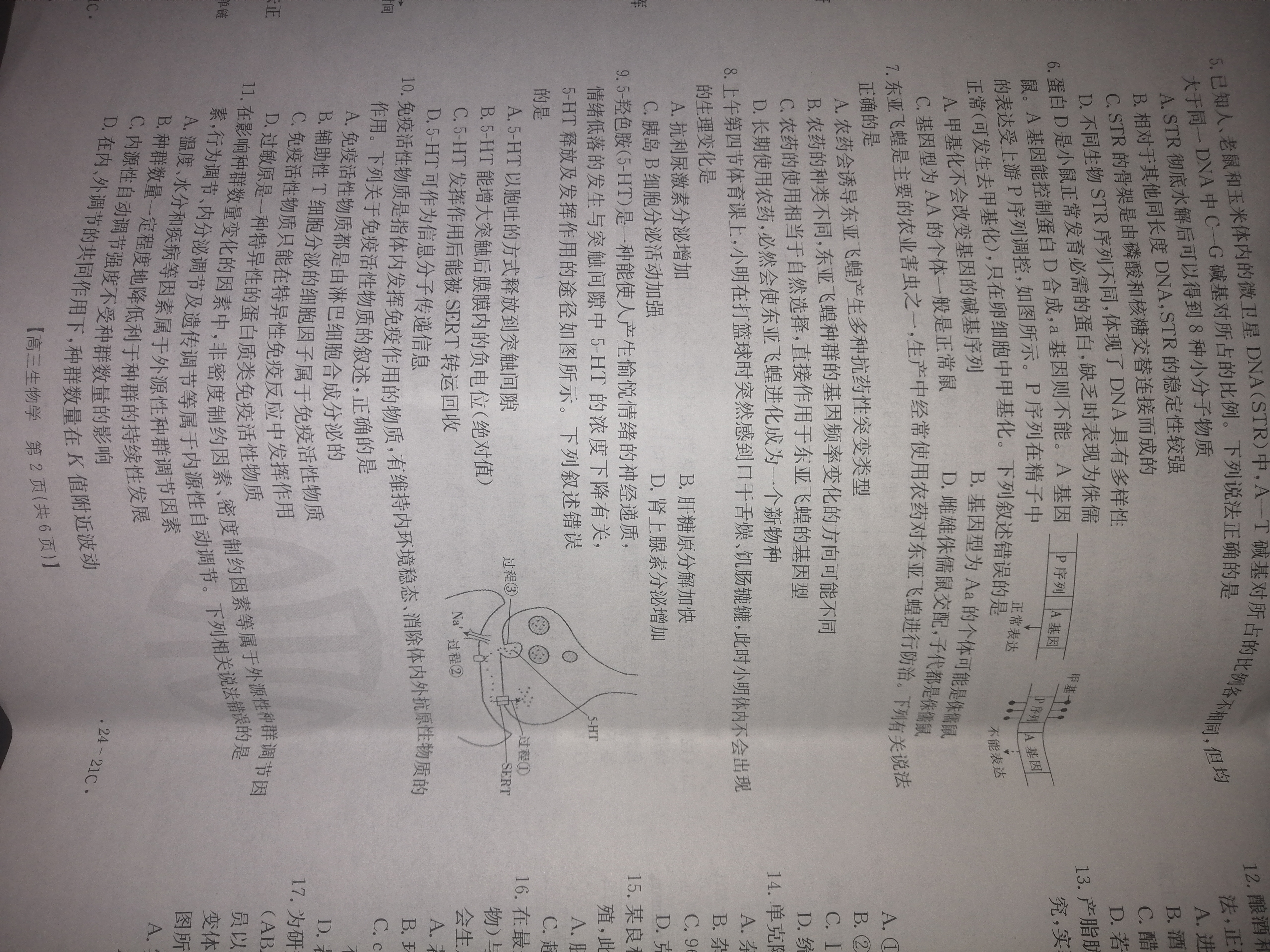 河南省2023-2024学年度八年级上学期期中综合评估【2LR】生物试卷答案