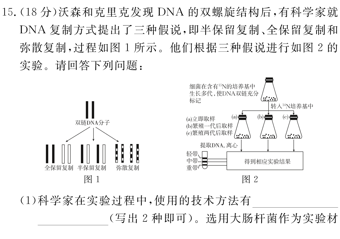 炎德 英才大联考湖南师大附中2024届高三月考试卷(一)生物答案
