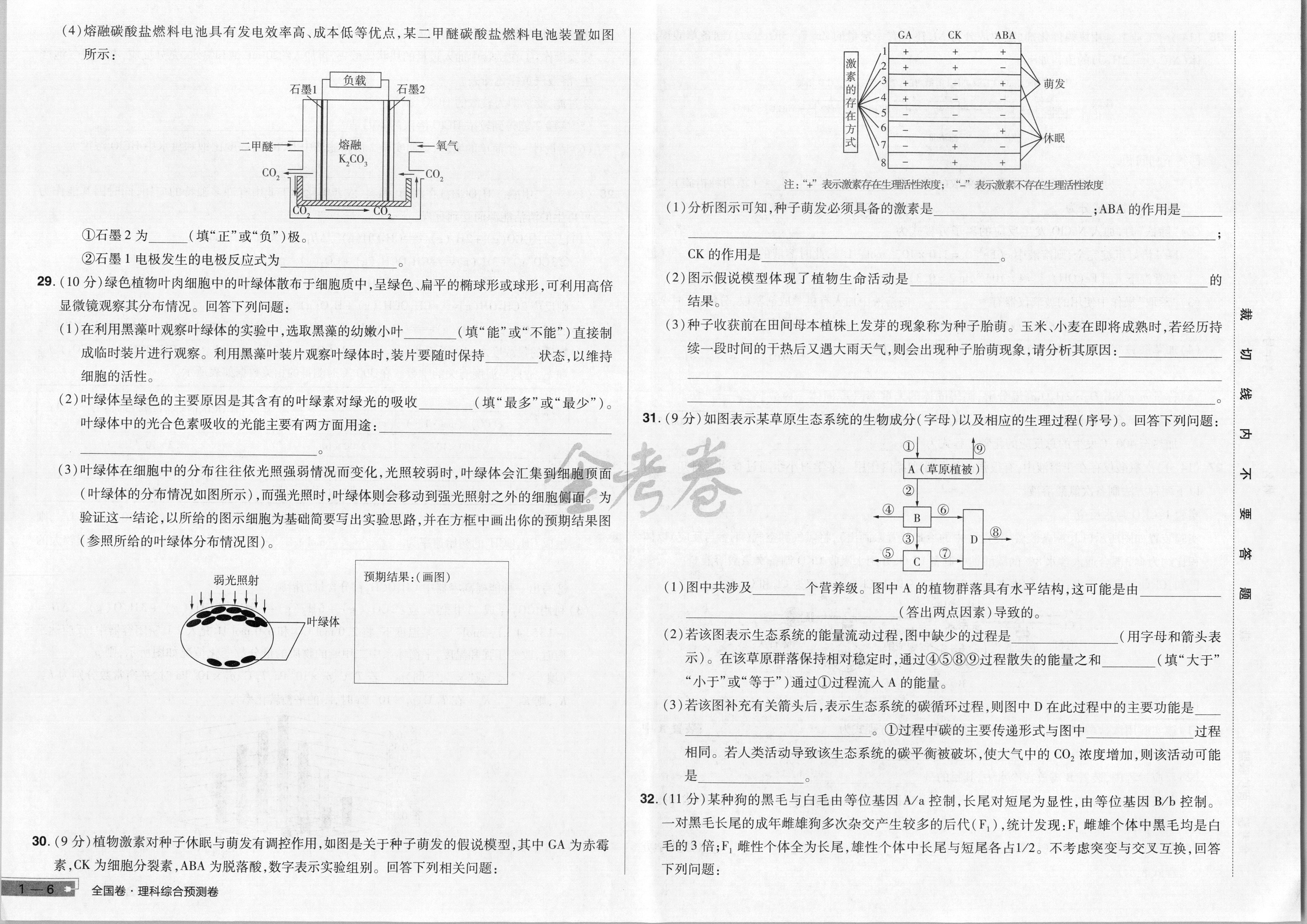 高三2024年全国高考·仿真模拟卷(四)4理科综合XN试题