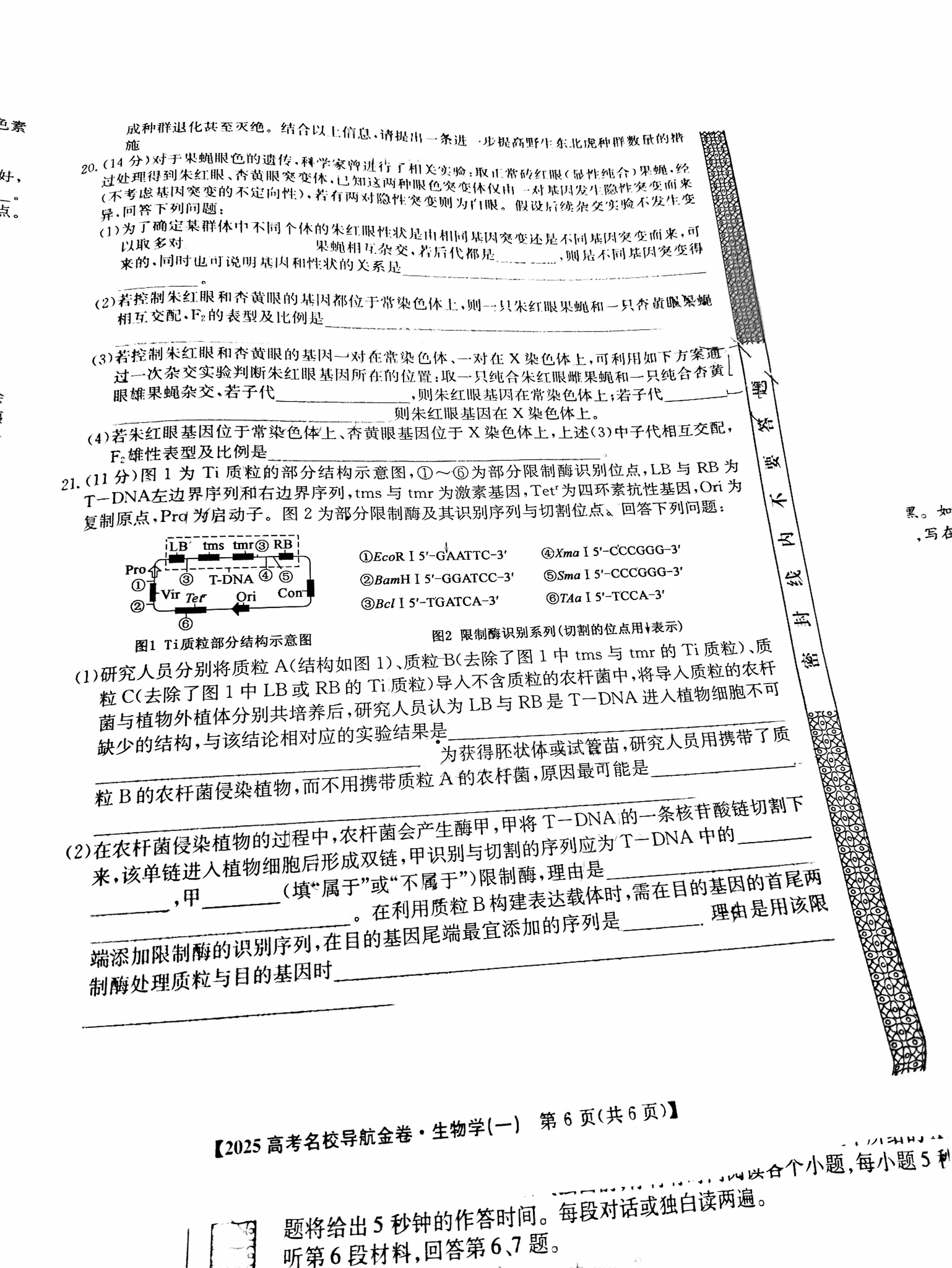 北京专家卷·2025届高三·(三)3生物试题